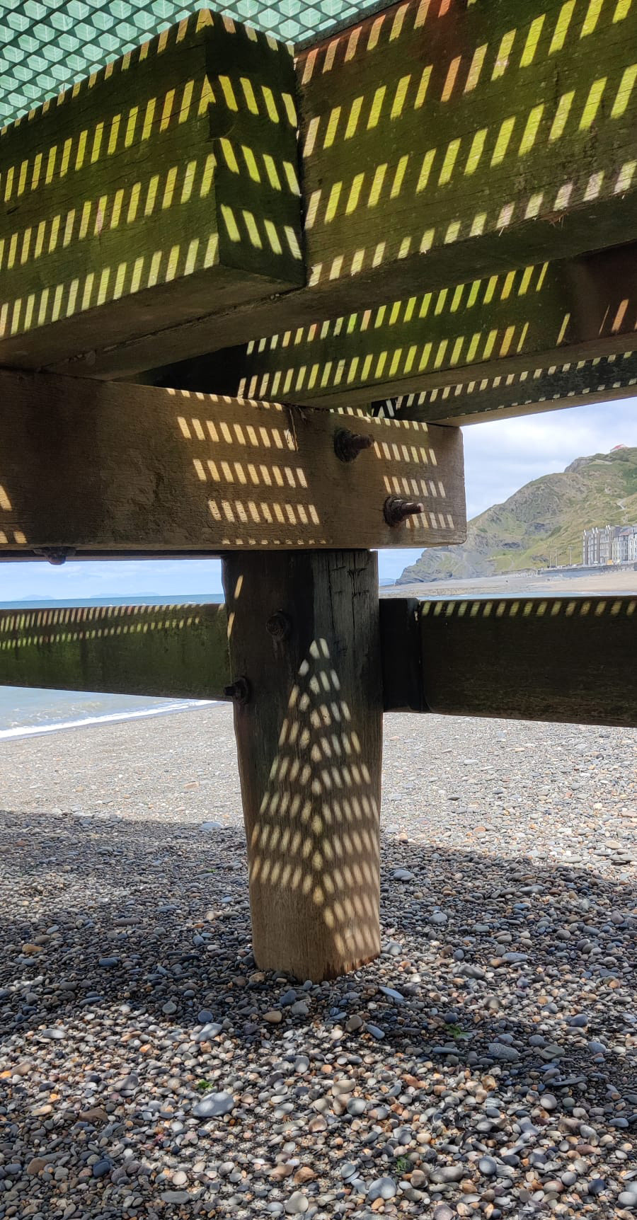 "In the Shadows" by Hilary Harding