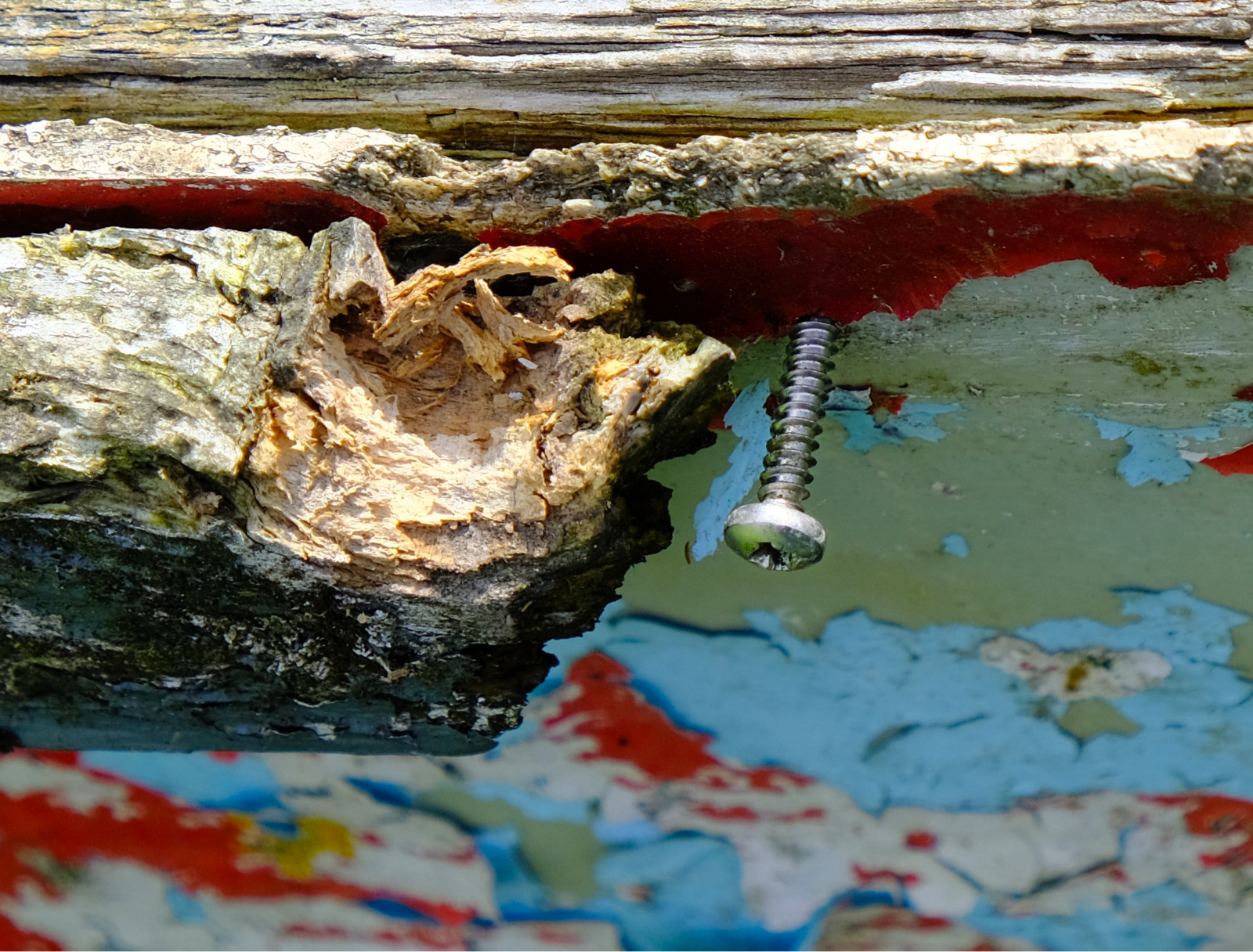 "New Screw" (Laugharne trip)