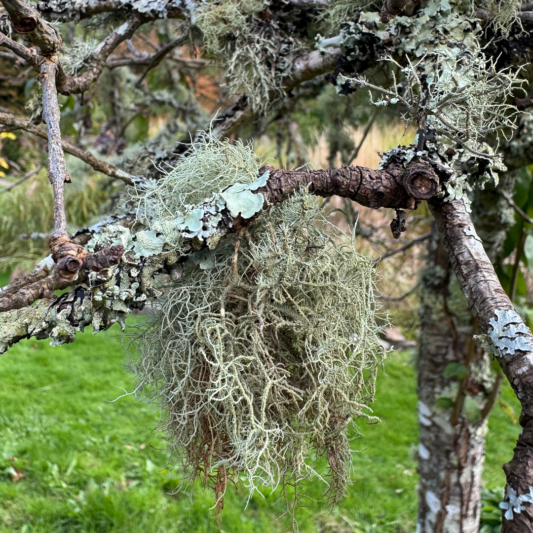 Colby_Pembs-4795 by Morlais Davies