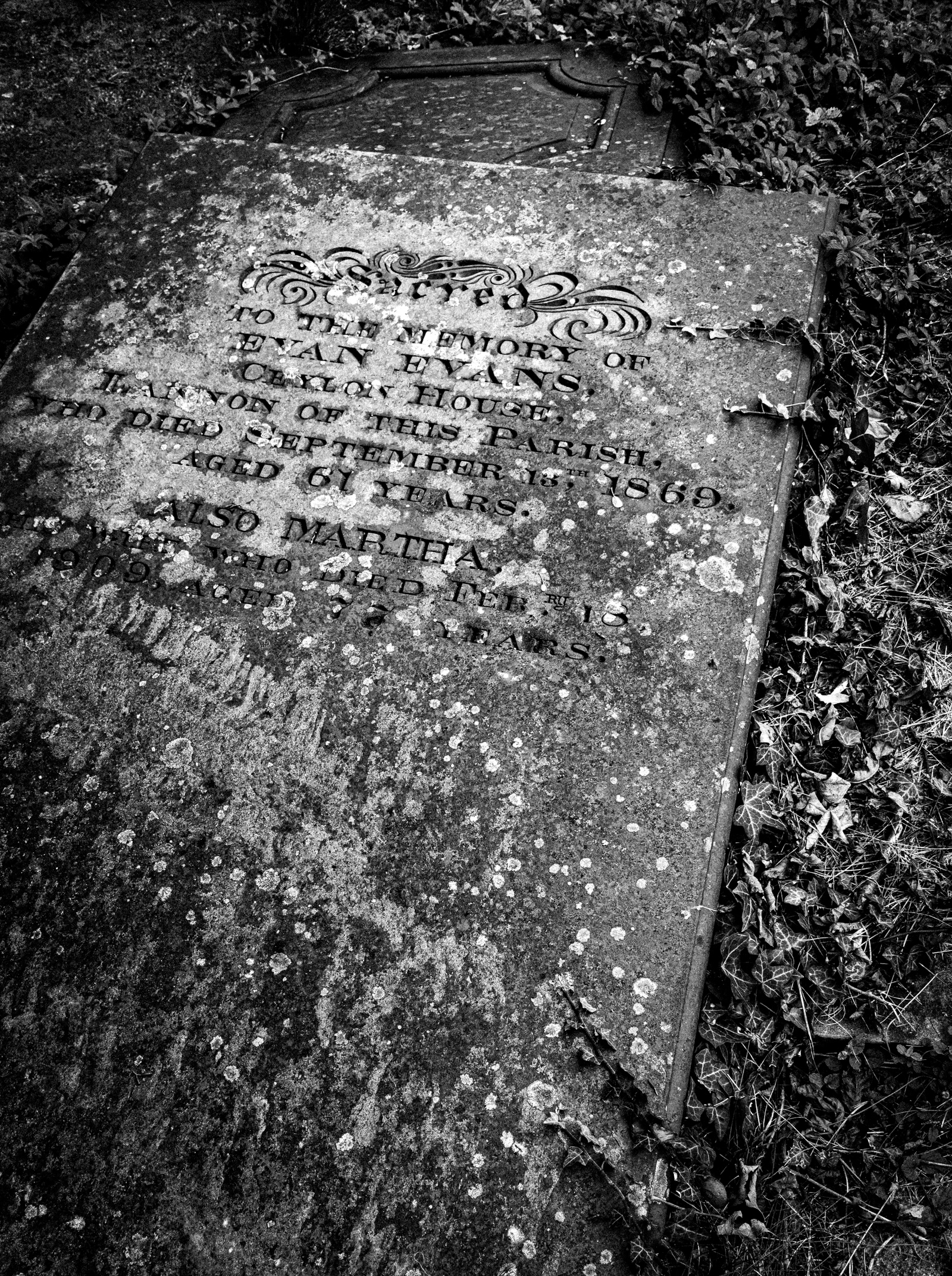 "Another Grave" by Gareth Parry