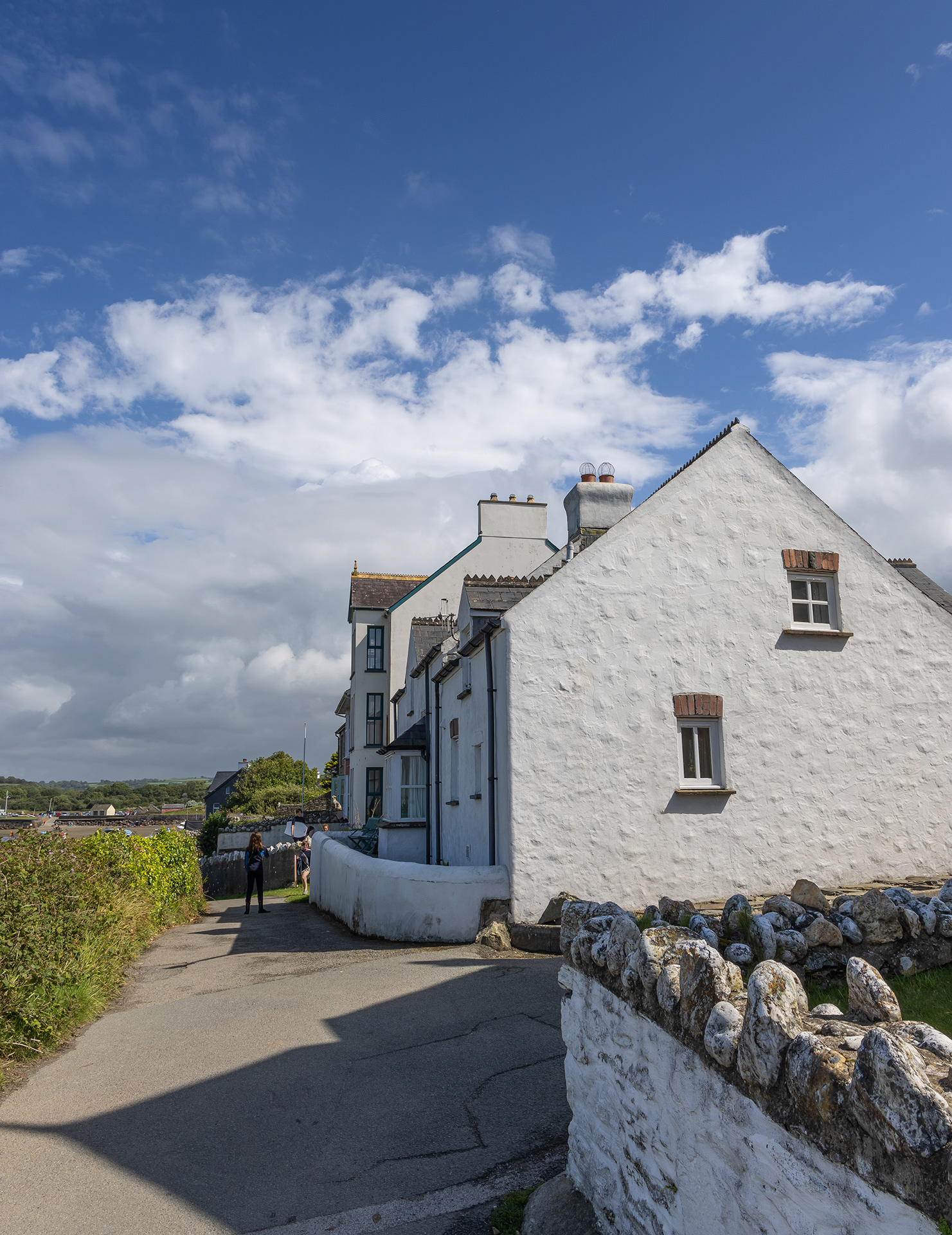 "Parrog 5" by Viv Evans