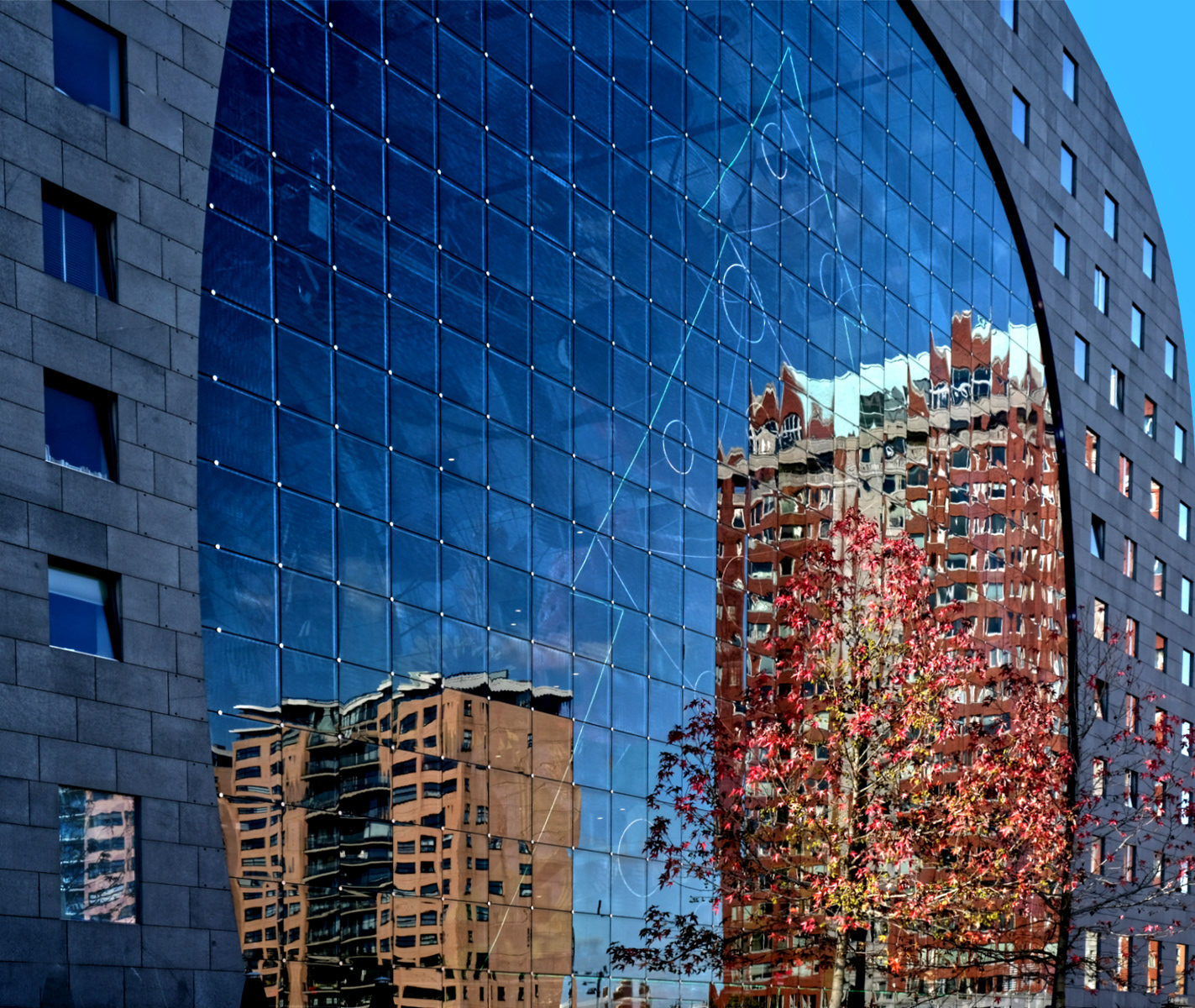 Rotterdam Reflections