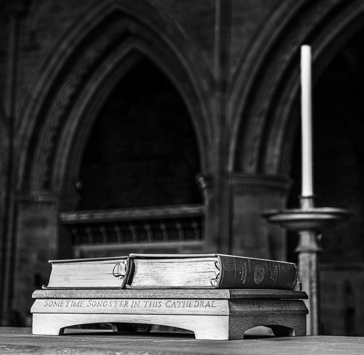 "St David's Songster" by Anne Jones