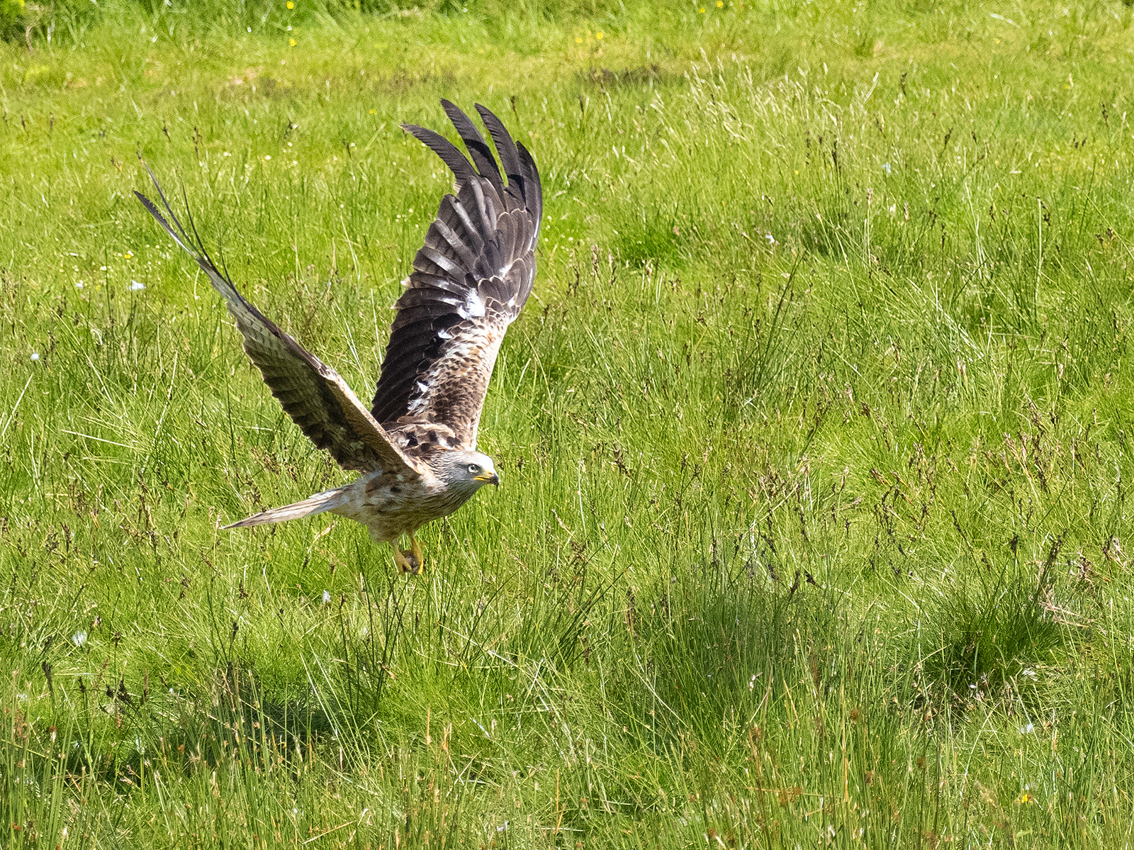 Taking Off