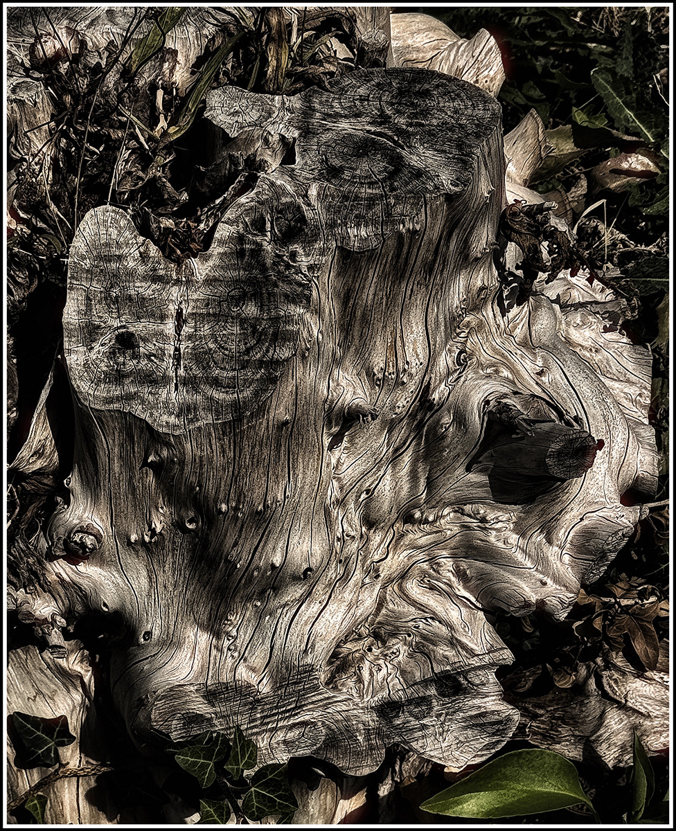 "Image 3" by David Hough