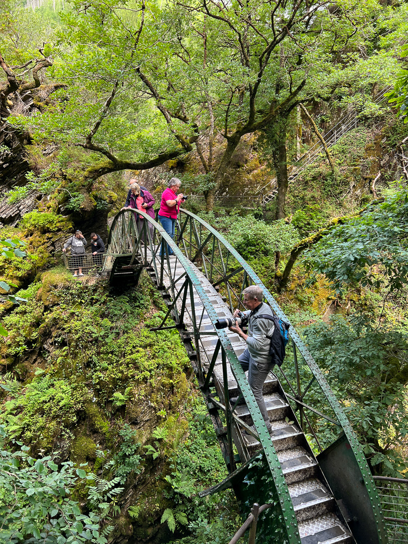 "Devil's Bridge Falls" by Morlais Davies