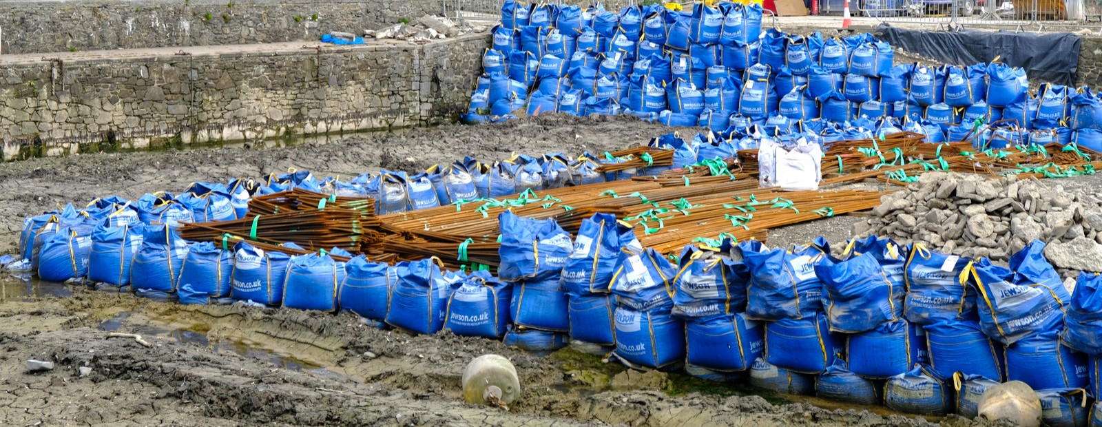 "Blue Bags" by Margaret Jones