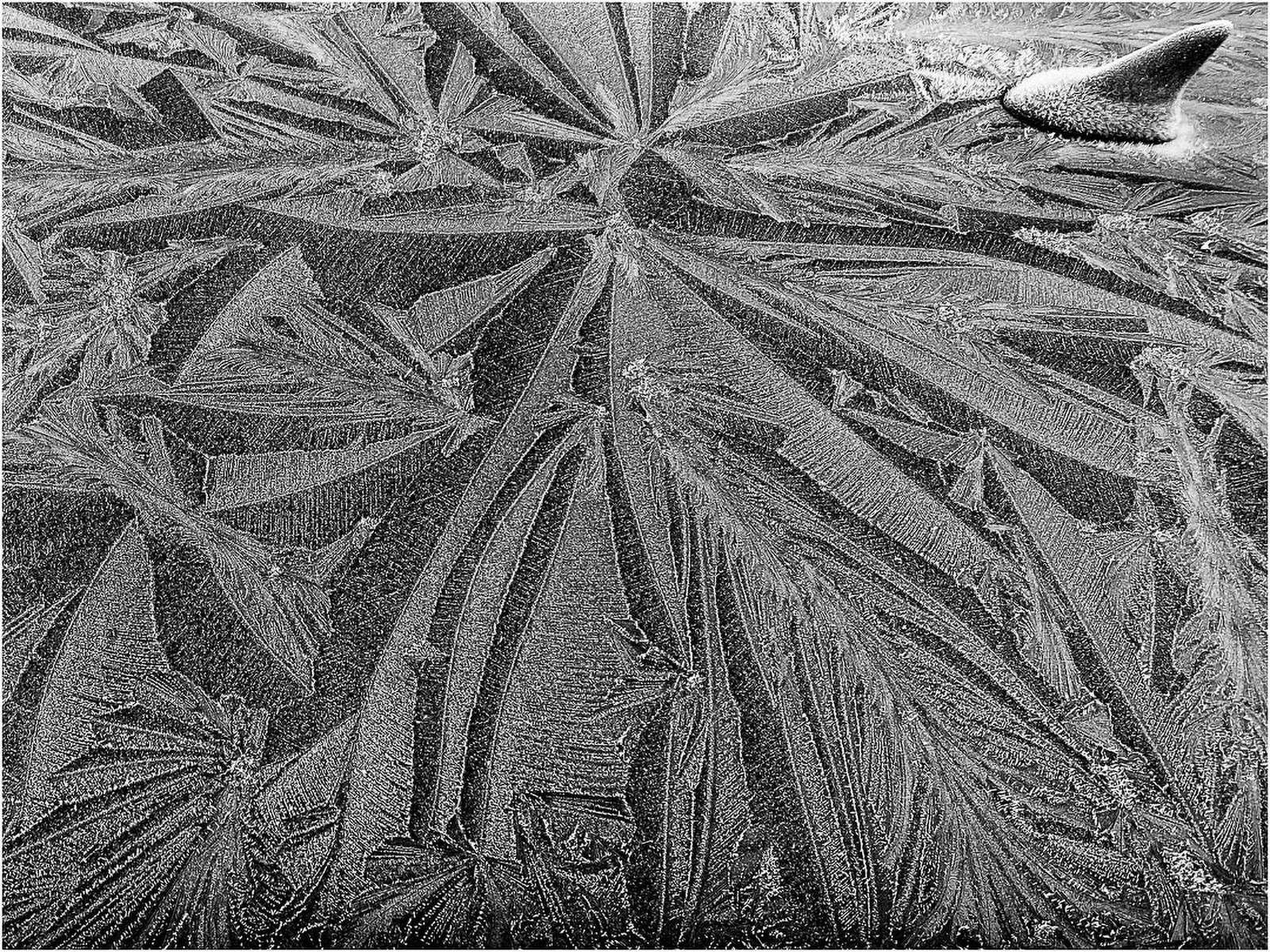 "Patterned Roof" by Morlais Davies