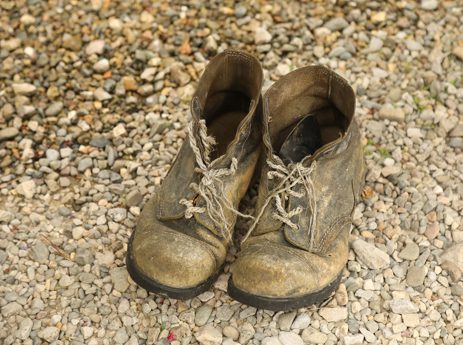 2. There's life in them yet