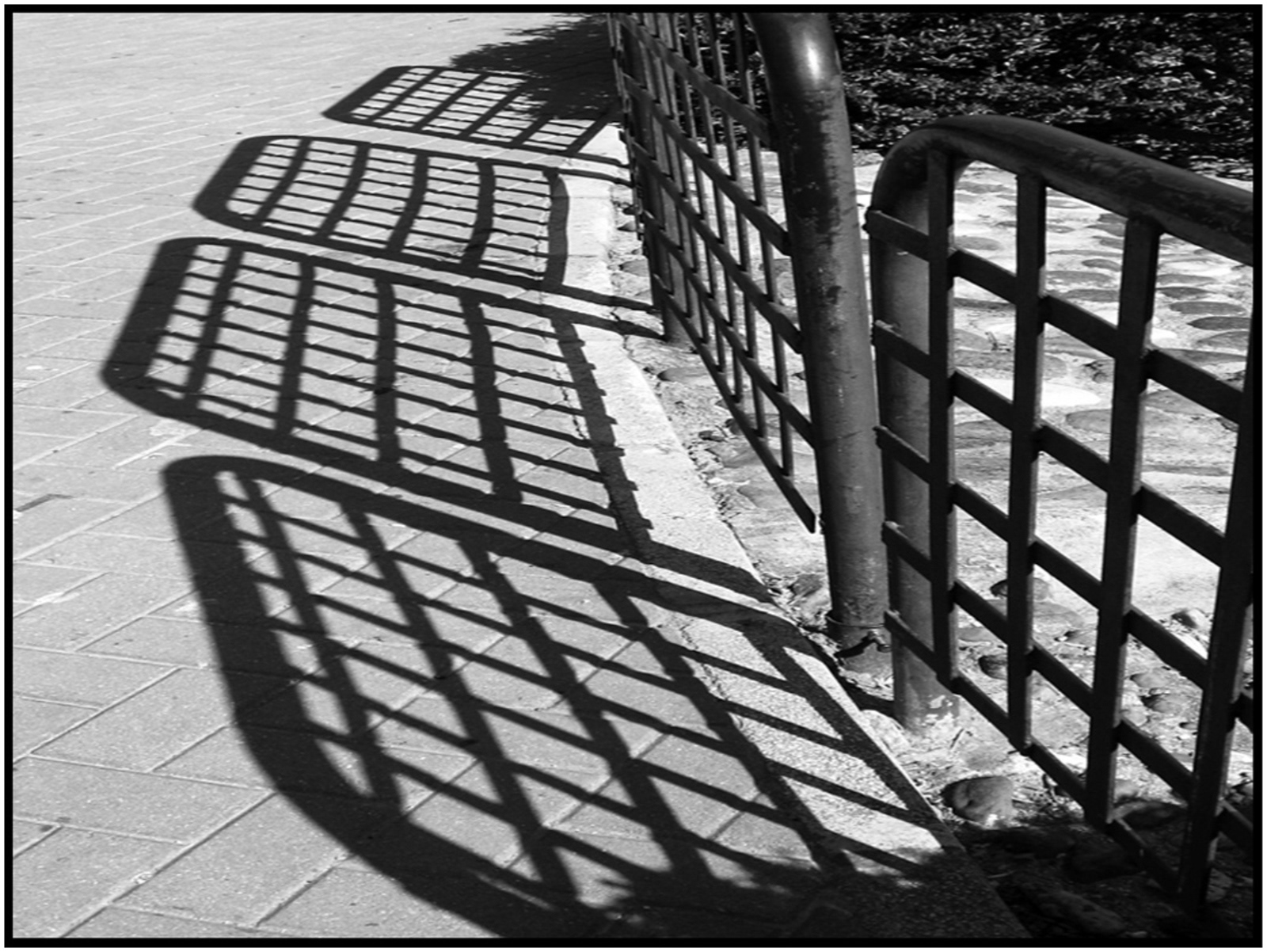 "Fence and Shadows" by Margaret Jones