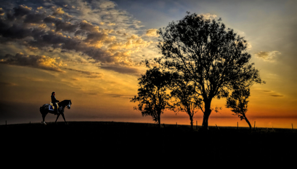 Hilltop Rider
