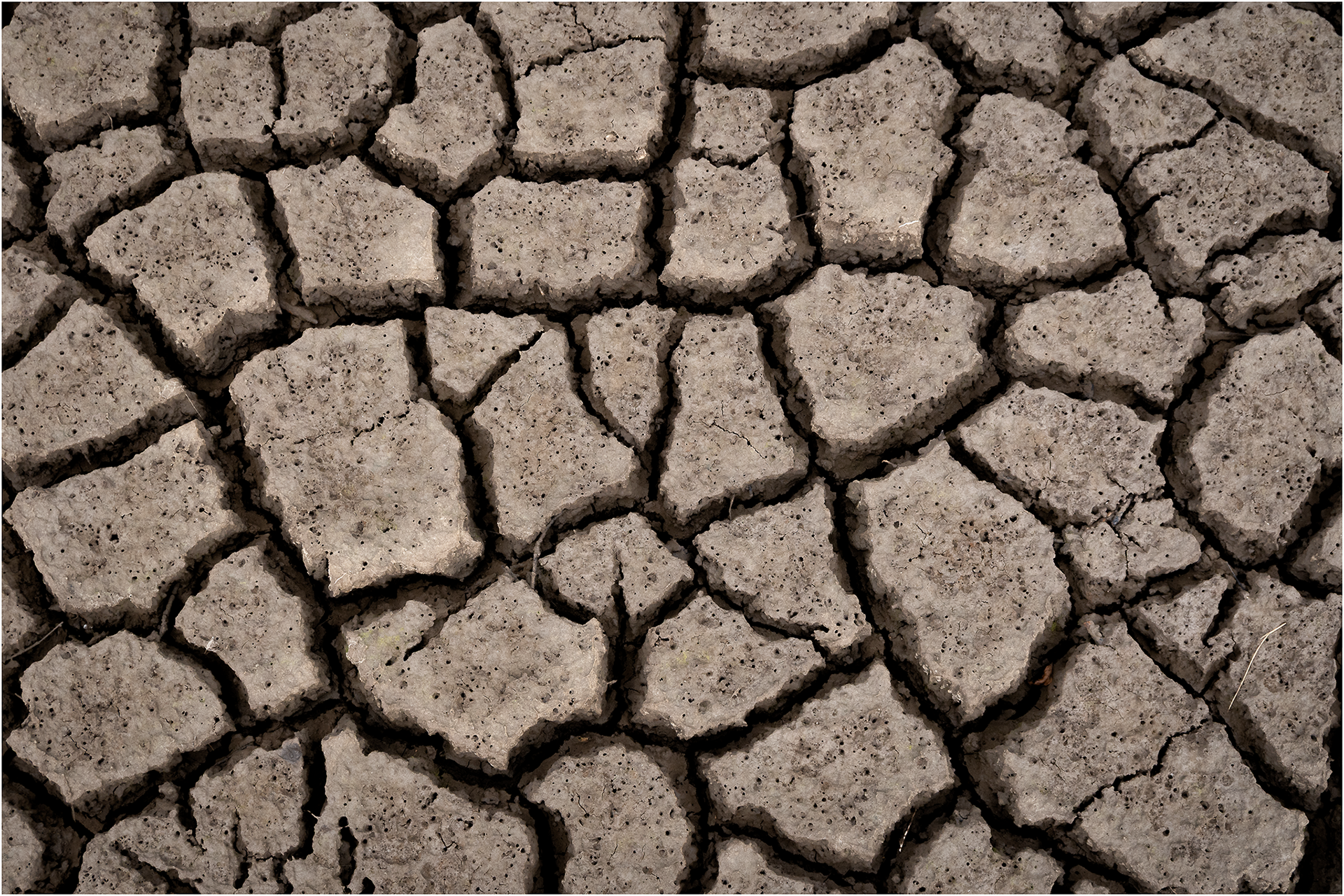 "Tidal Mud" by Simon Harding
