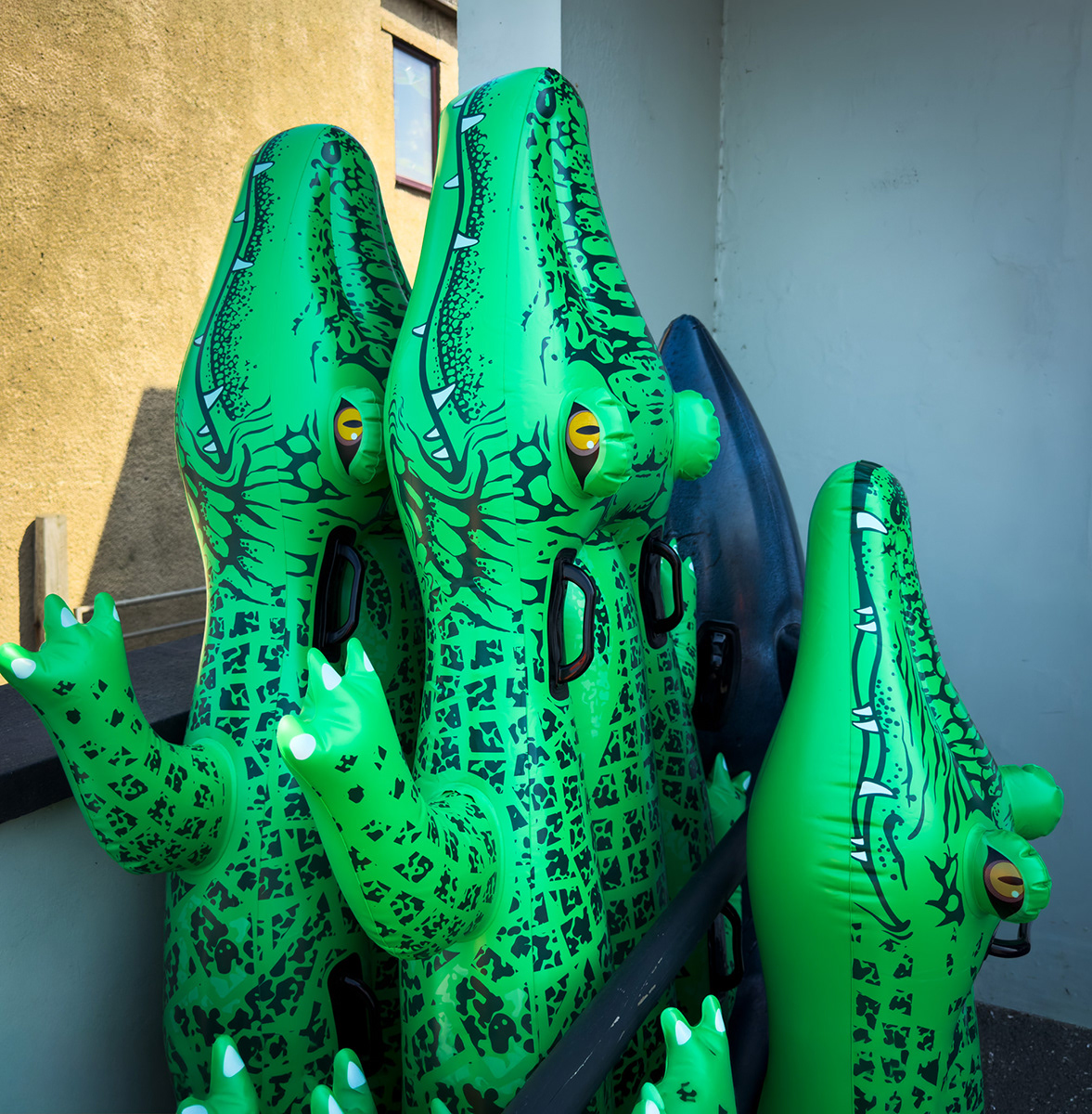 "Croc Country" by Gareth Parry
