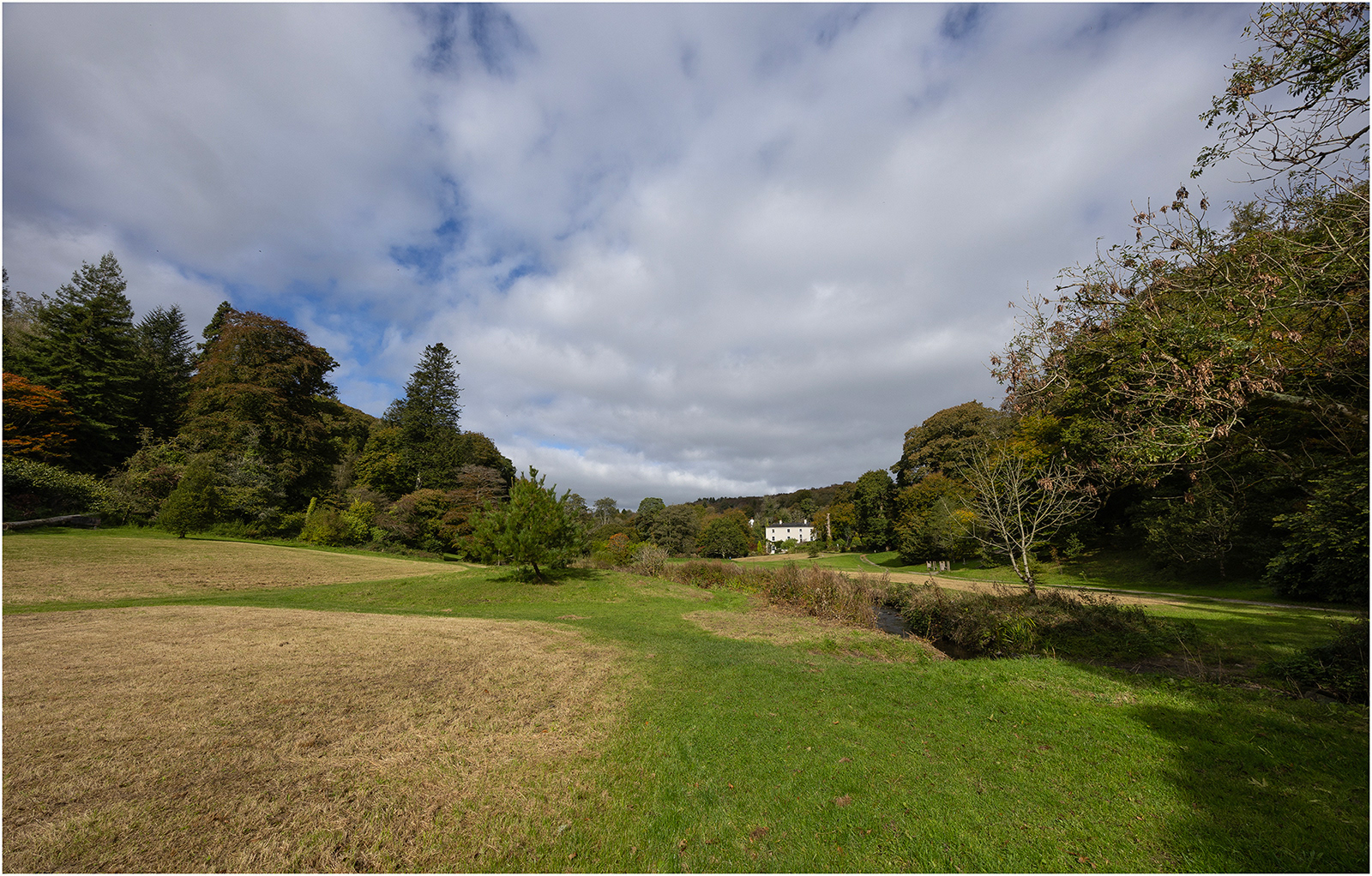 "Colby 2" by Viv Evans