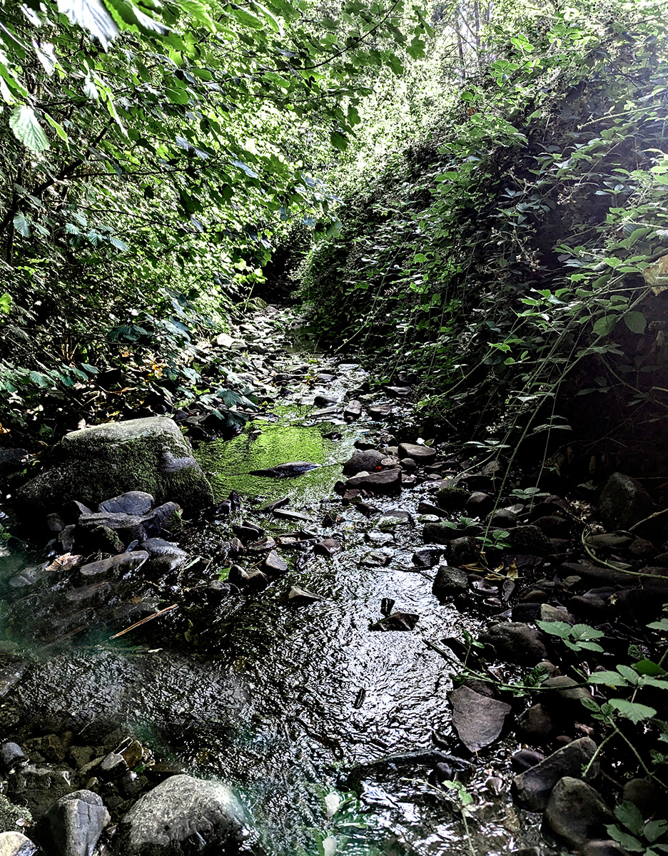 "Small Stream" by Mike Jones