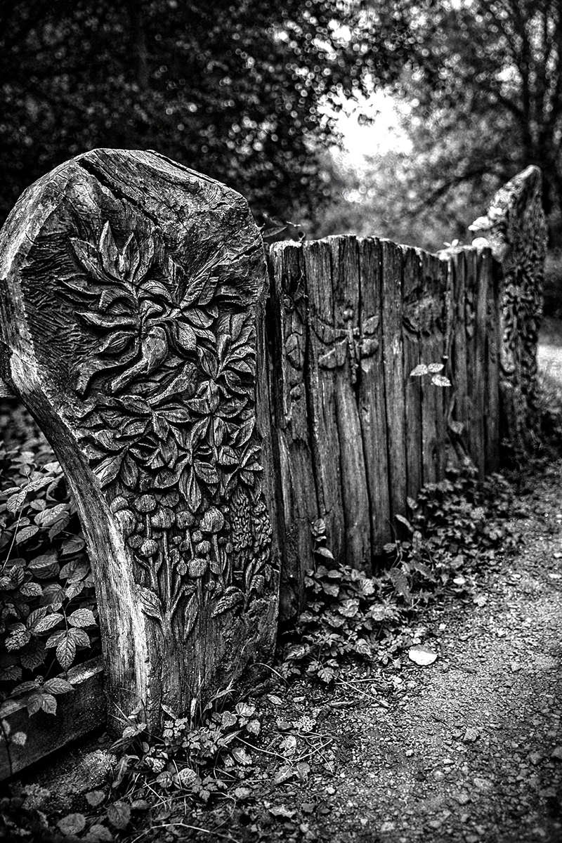 "Carving" by Mike Jones