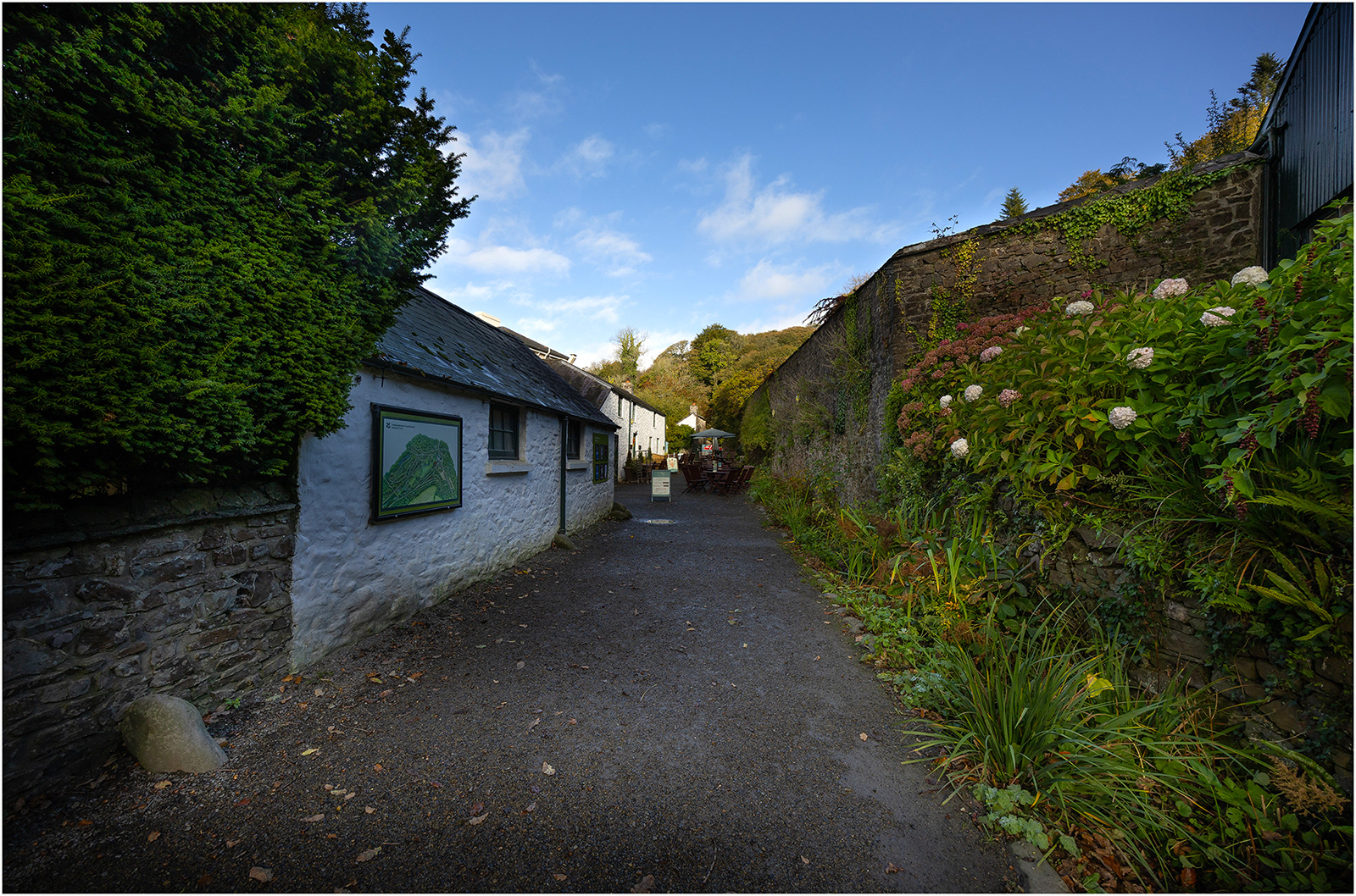 "Colby 1" by Viv Evans