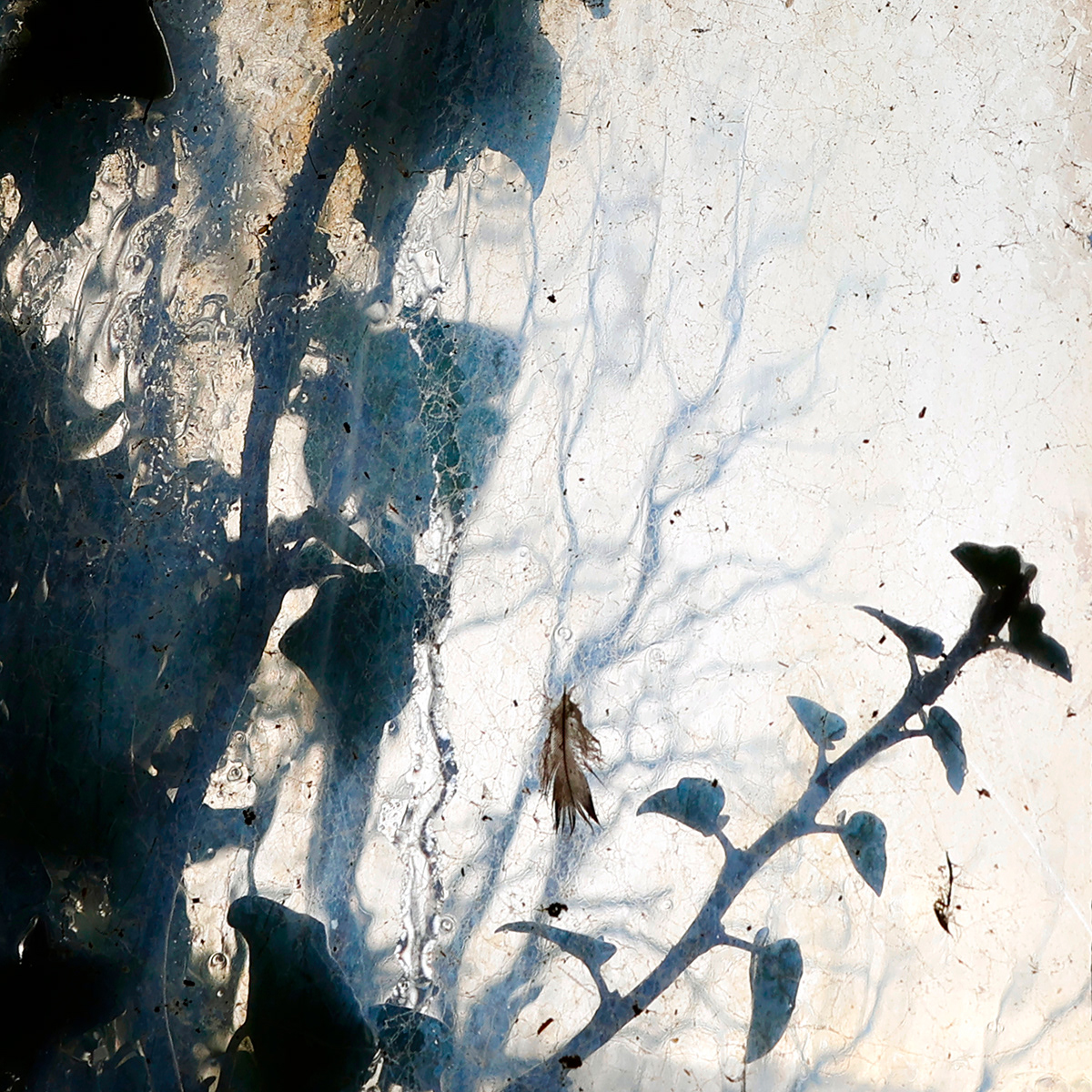 "I can see the rain, running down my window" by Chris Haines