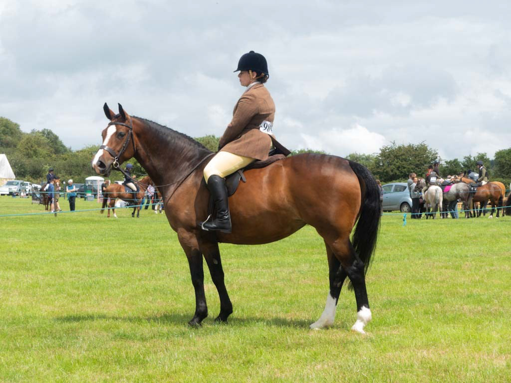 Waiting patiently (Trudy Davies) 15 points