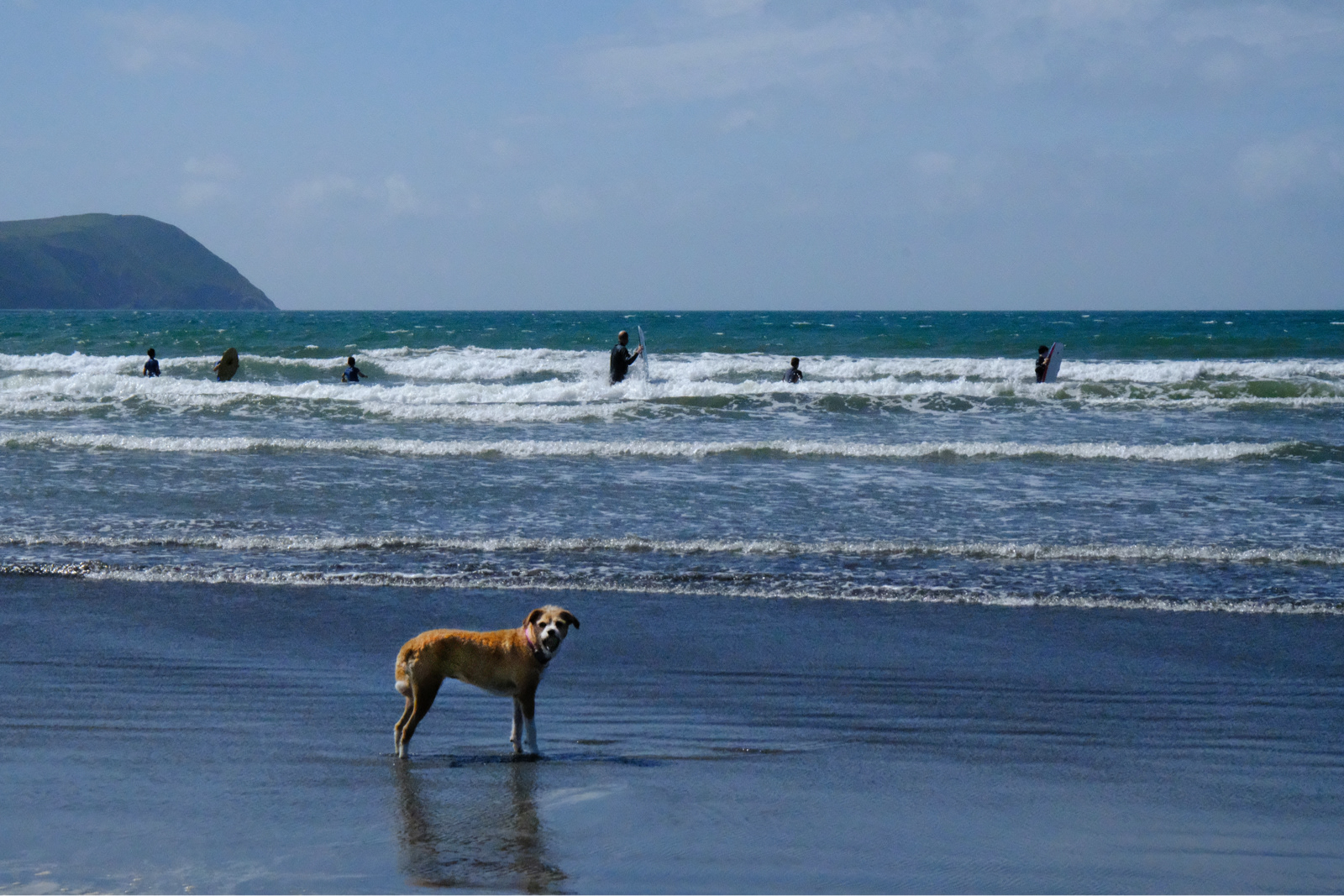 "I want a swim, too" by Margaret Jones