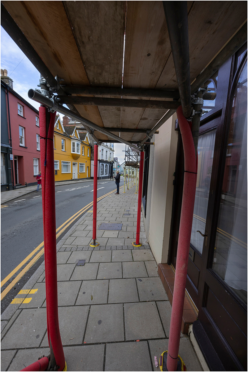 "Mogs in the frame" by Viv Evans