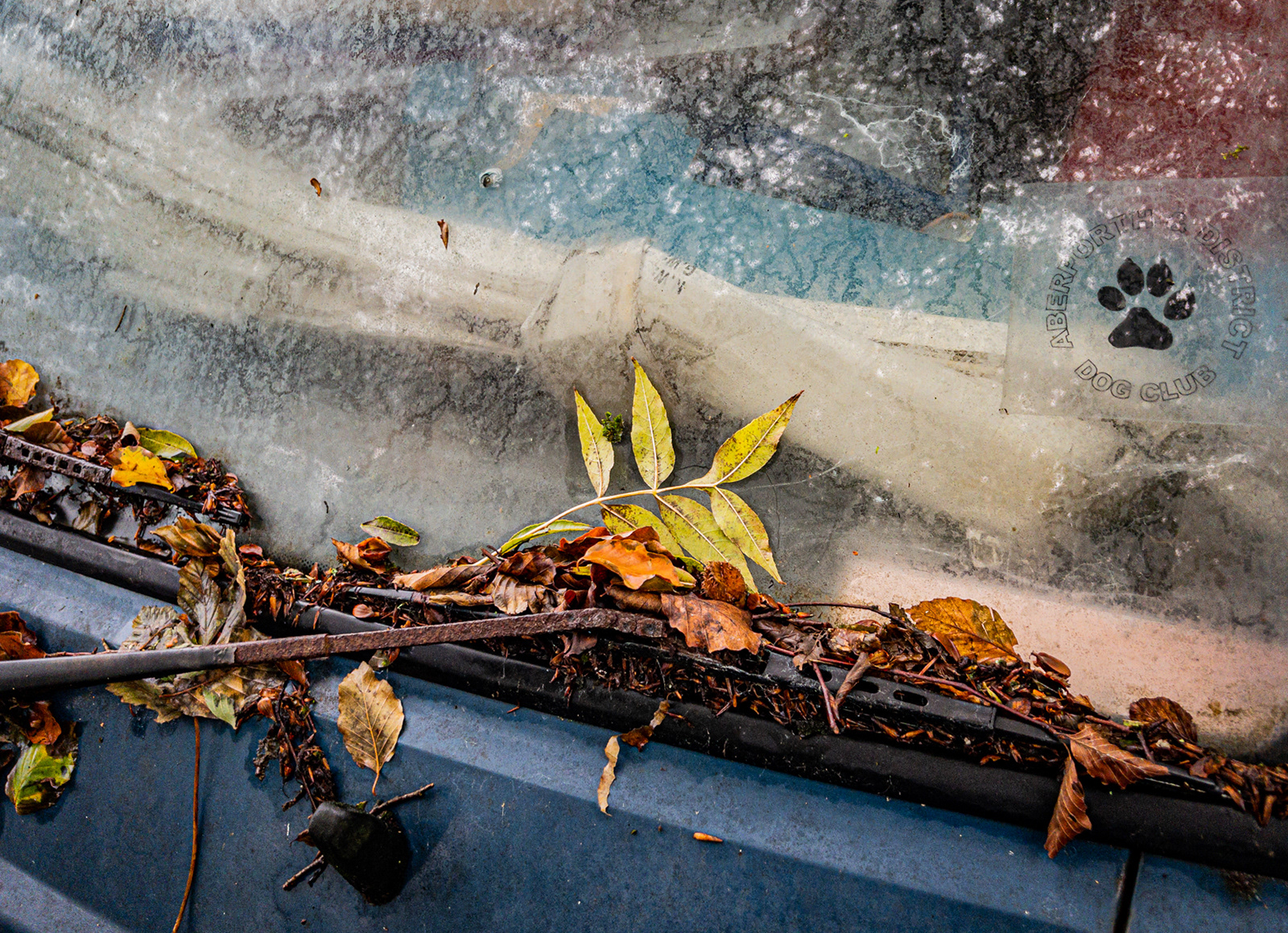 Colours of Decay