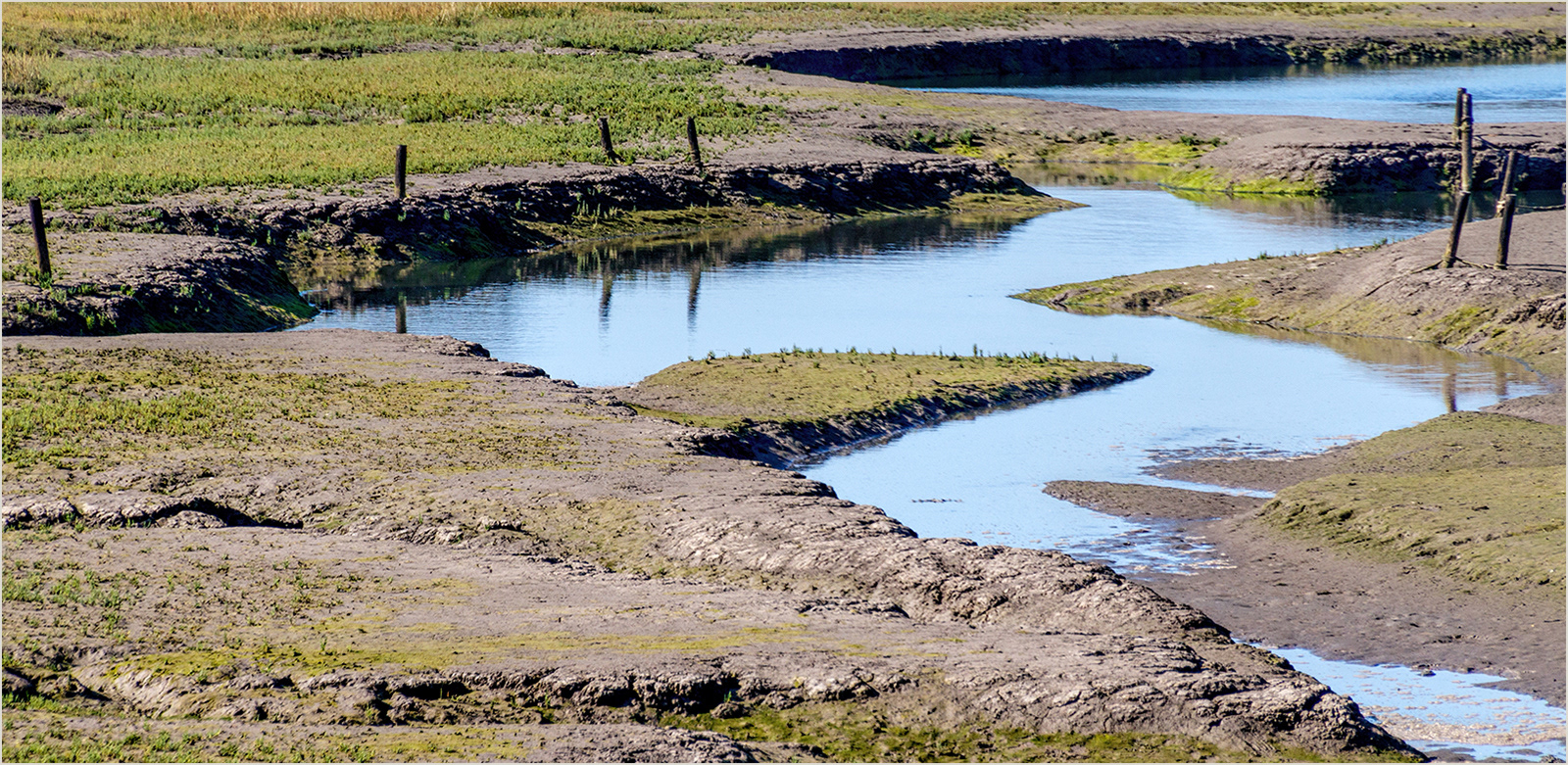 "Saltmarsh at St Dogmaels" by Roy Peters