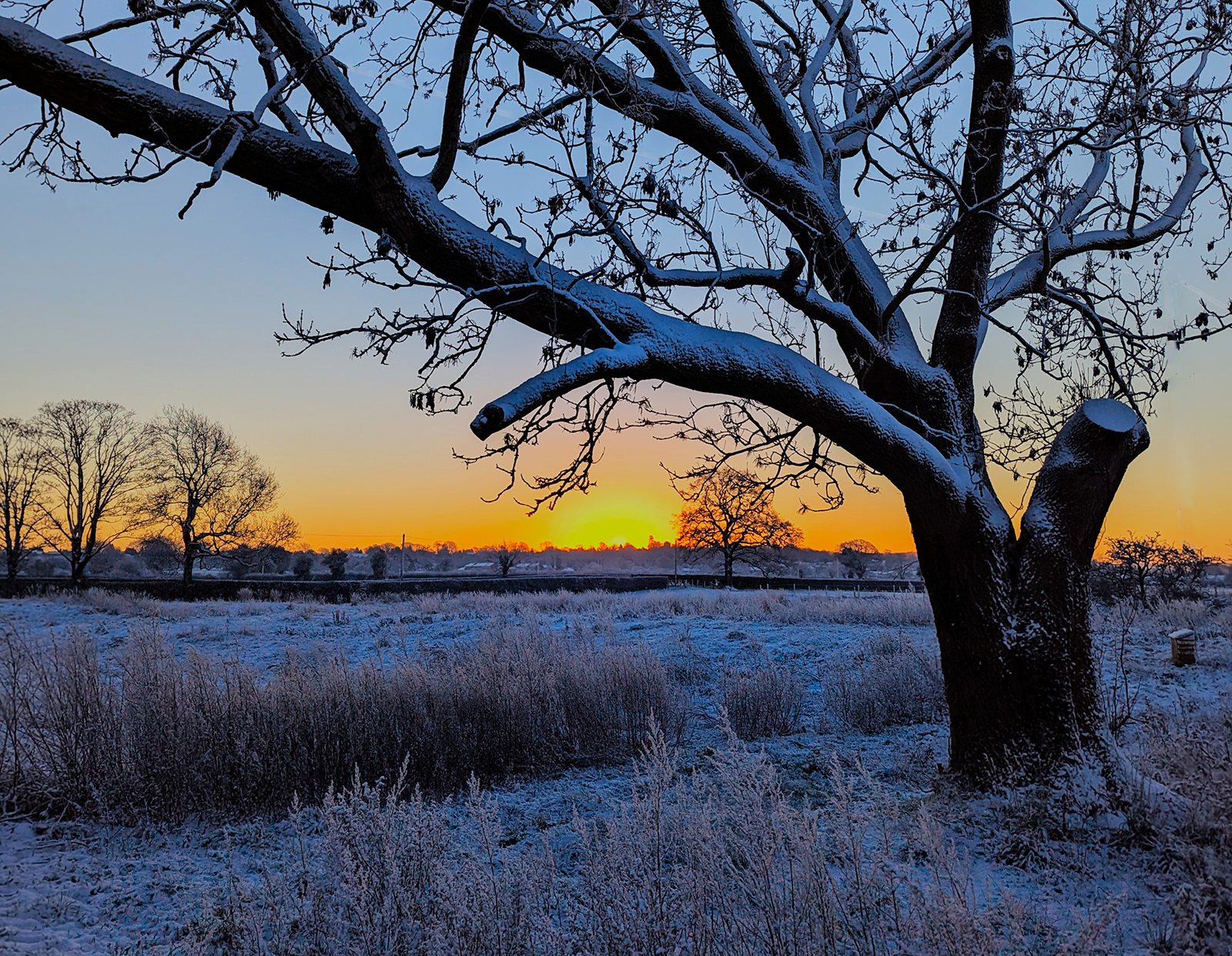 Snowy Sunrise (Mike Jones) 16 points