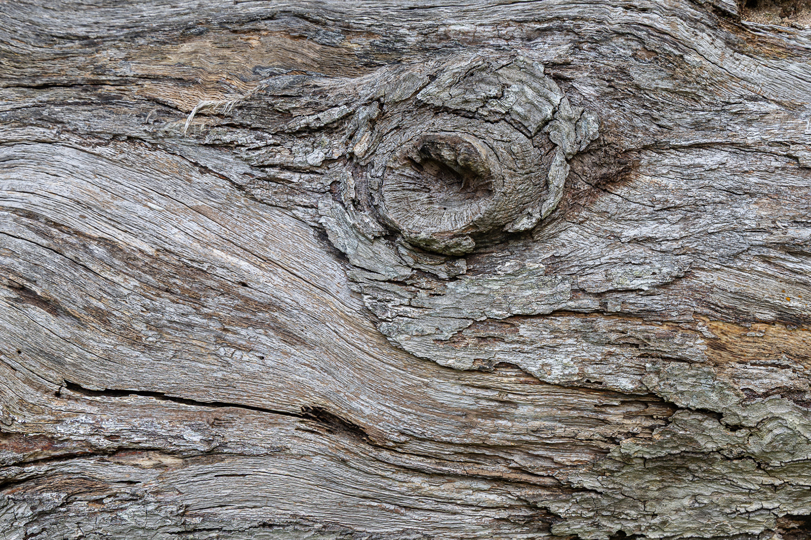 Colby_Pembs-4919 by Morlais Davies