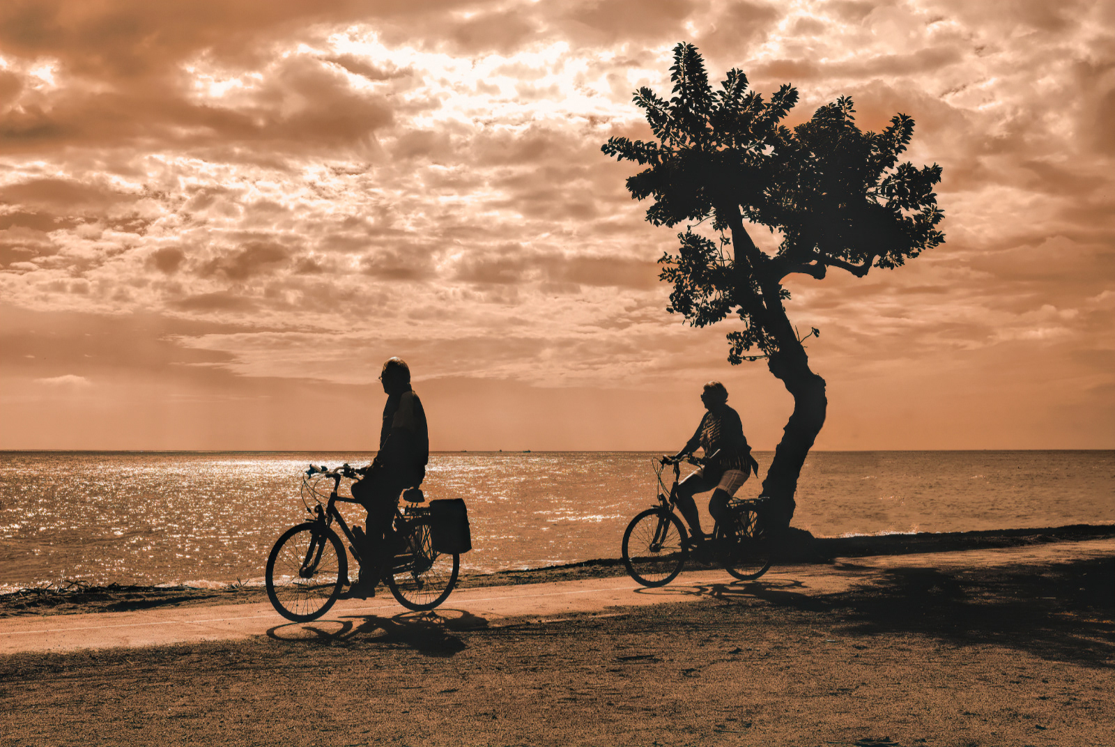 "Seashore Bikers"