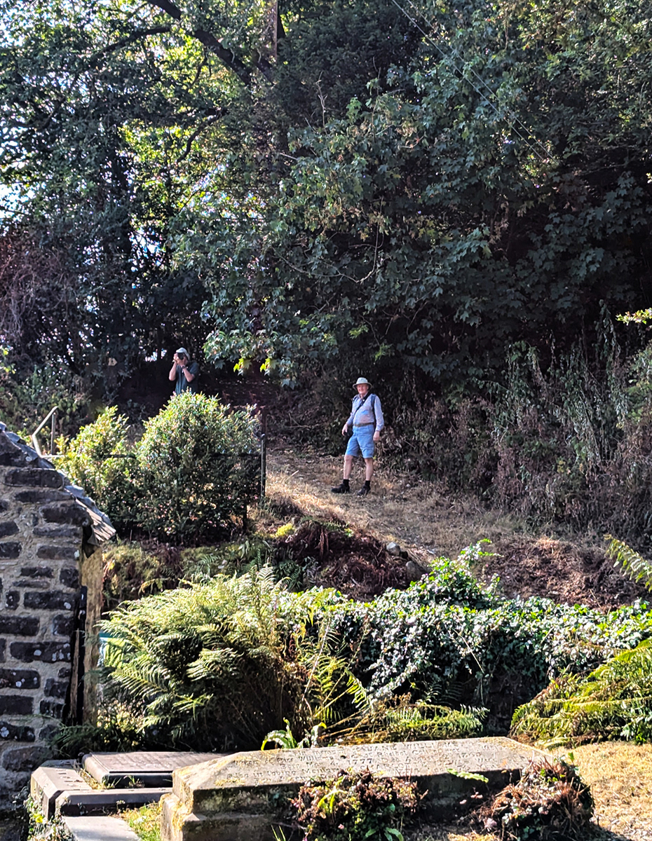 "Two Young Men Off For A Walk" by Mike Jones