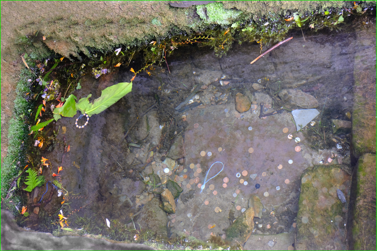 "How Many Coins?" by Margaret Jones