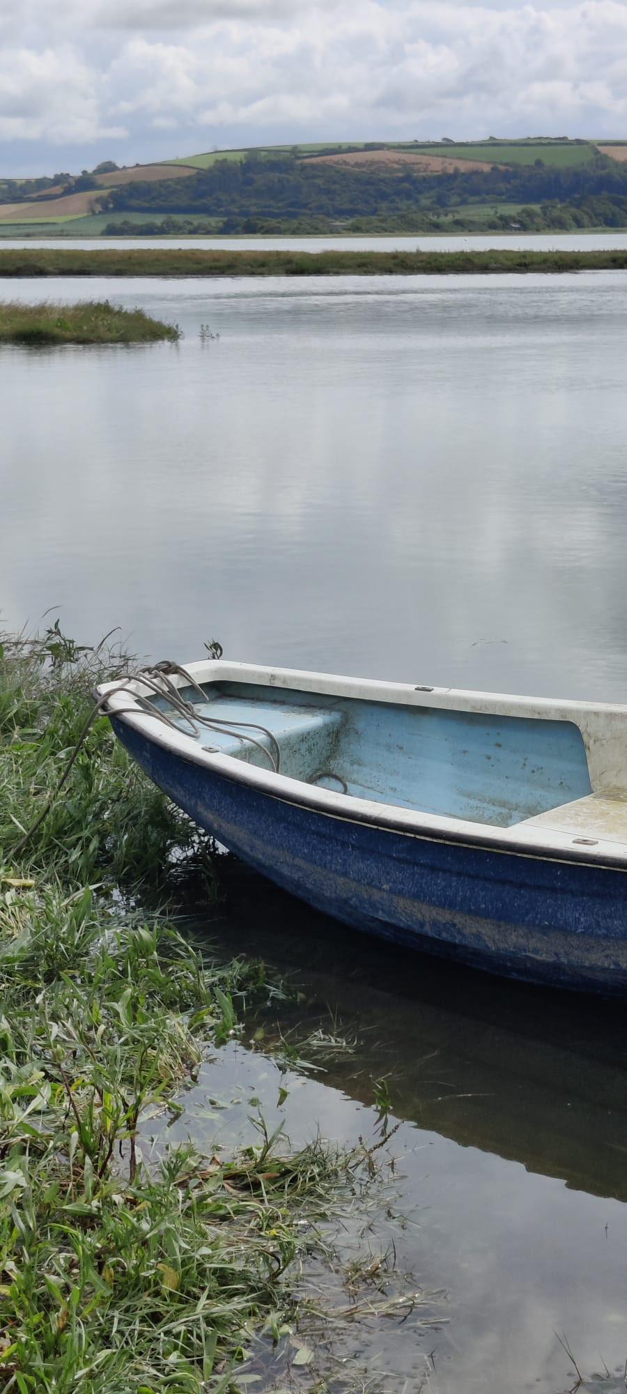 "Blue Boat" by Hilary Harding