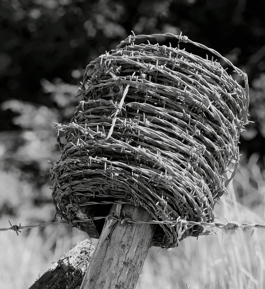 3. A bouquet of barbed wire