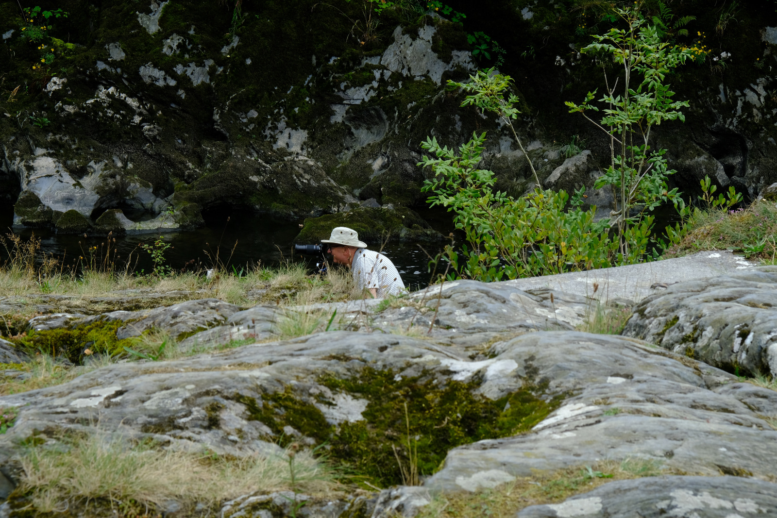 "Fish Spotting" by Margaret Jones