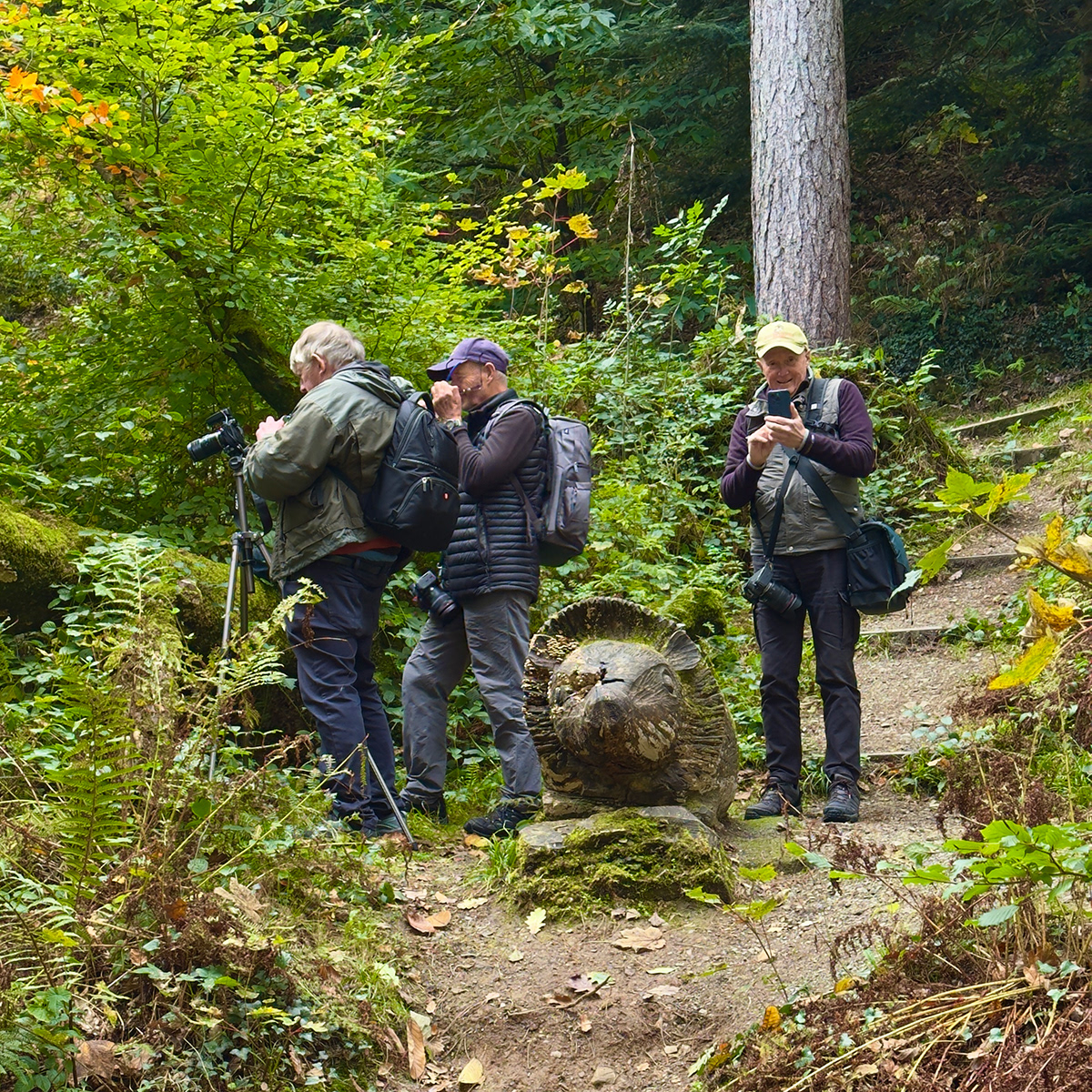 "i Fun Guys" by David Hough