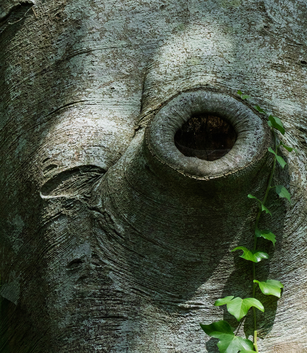 "One eye open, one eye shut" by Monica Berry
