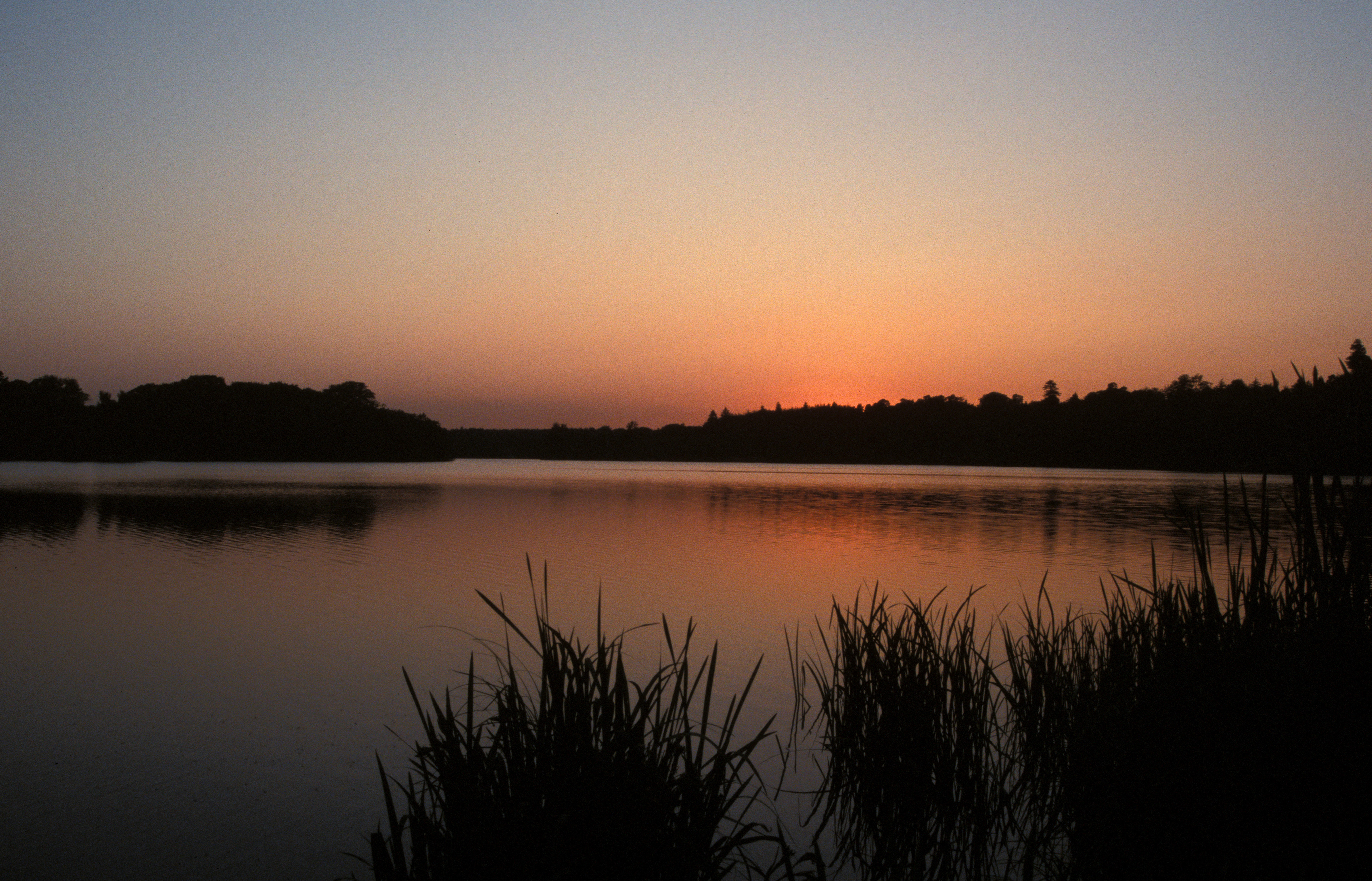 31. Virginia Water