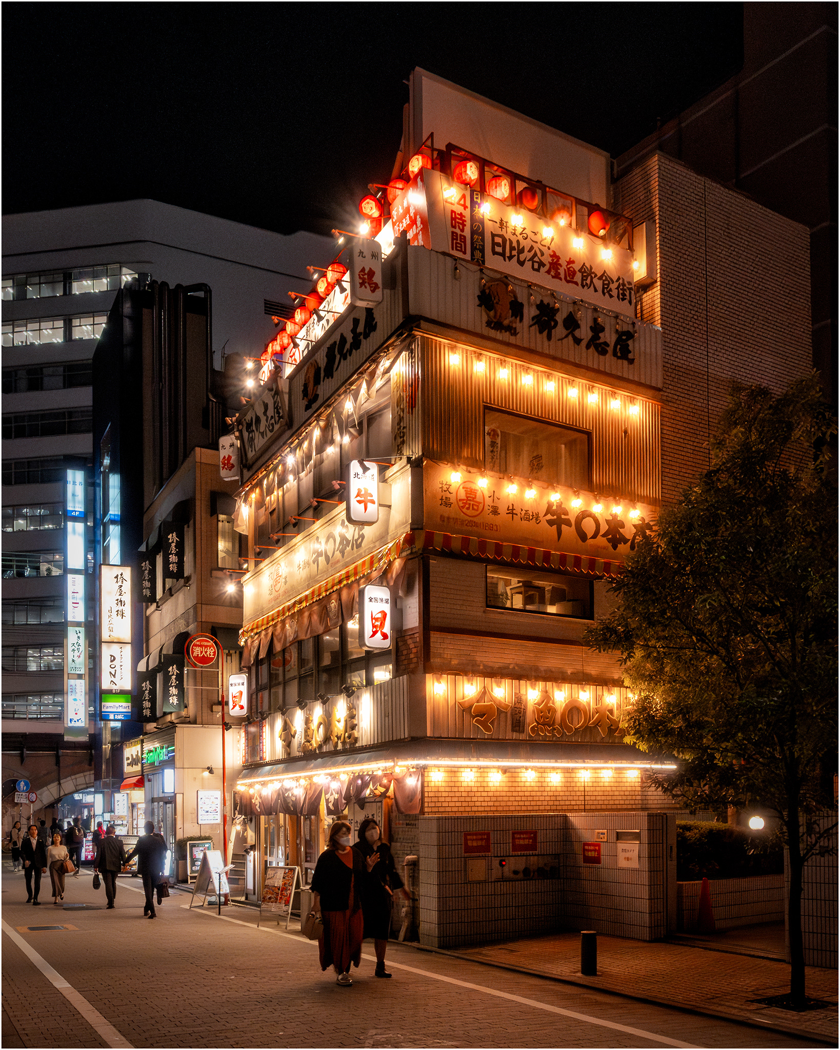 Downtown Tokyo, Japan
