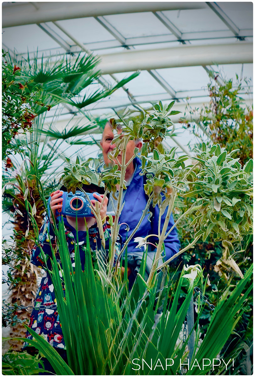 "Snap Happy" by Lis Singer