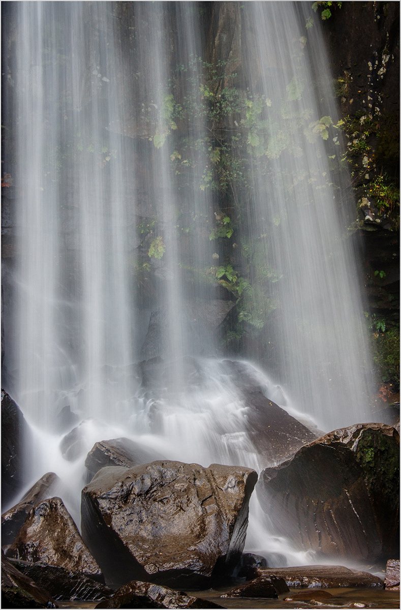 "Mystic Falls" by Roy Peters