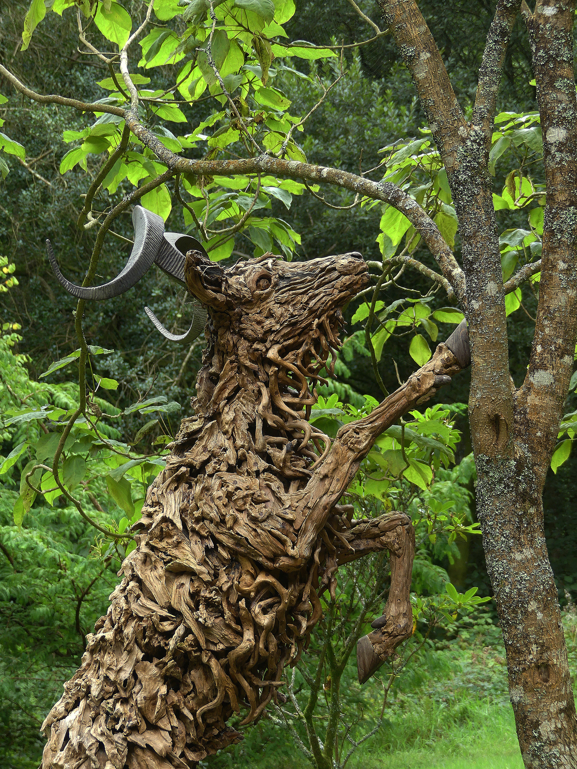 "Deer finding Lunch"