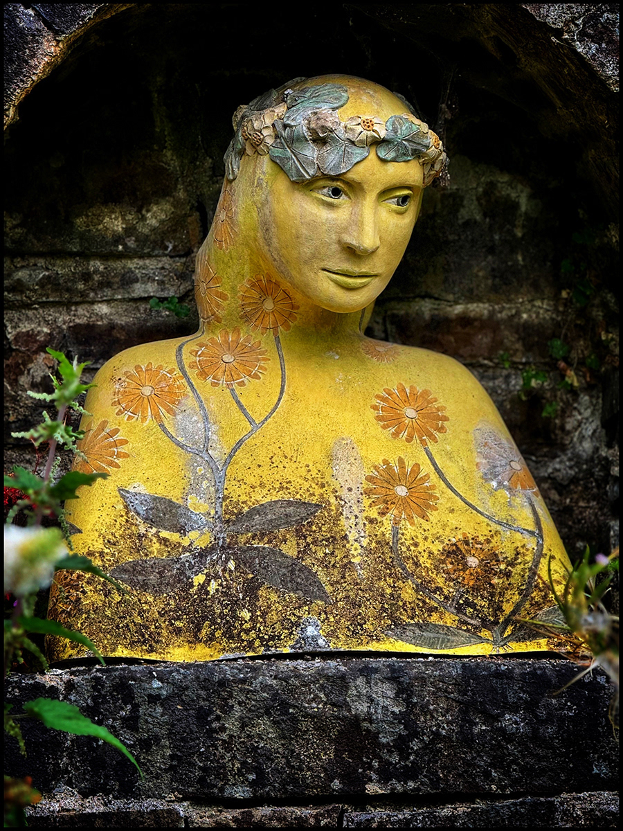 "Lovely Yellow Lady" by David Hough