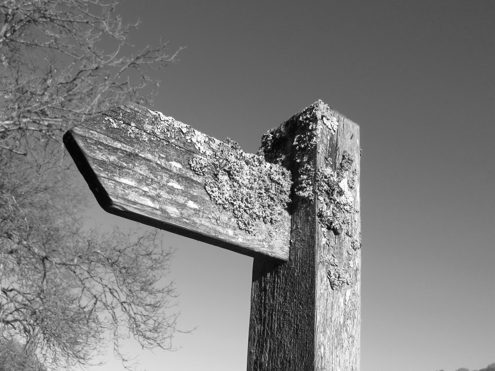 Pointing Nowhere