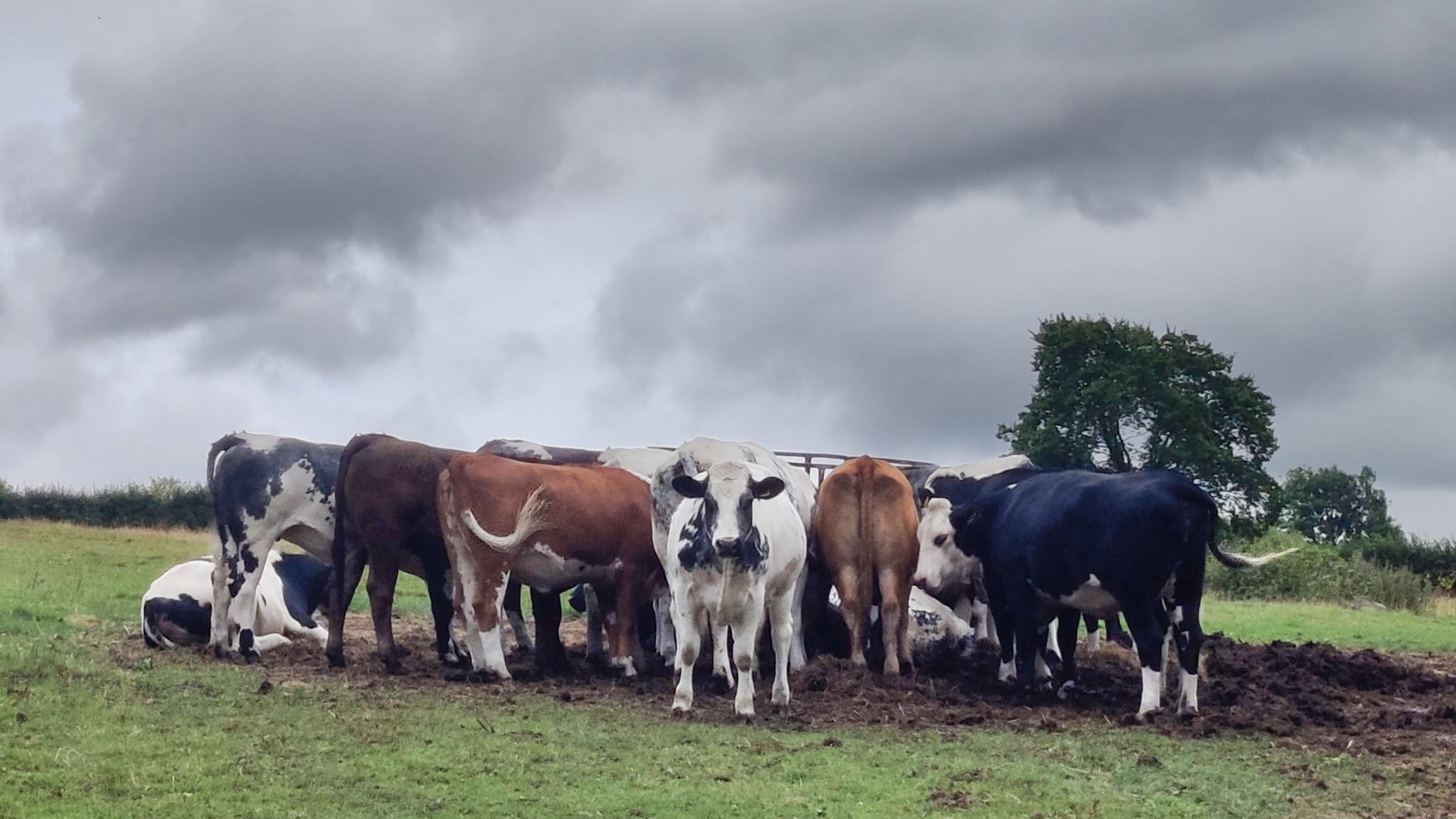 "I said "back off"" by Hilary Harding