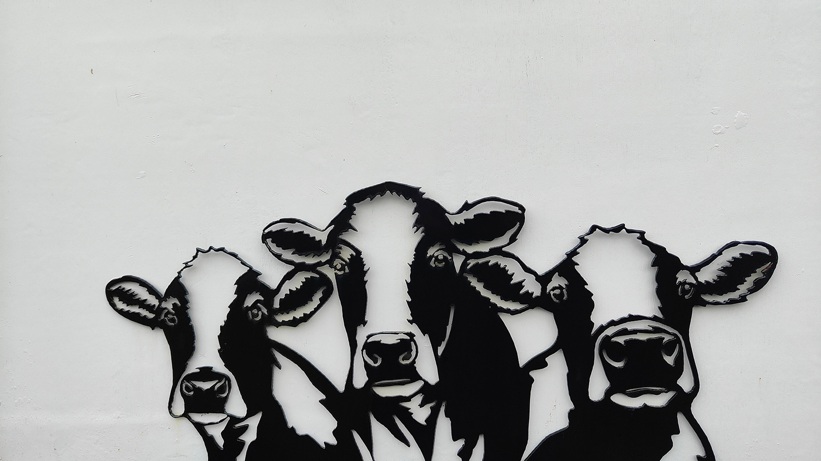 "Good Morning" by Dave Evans