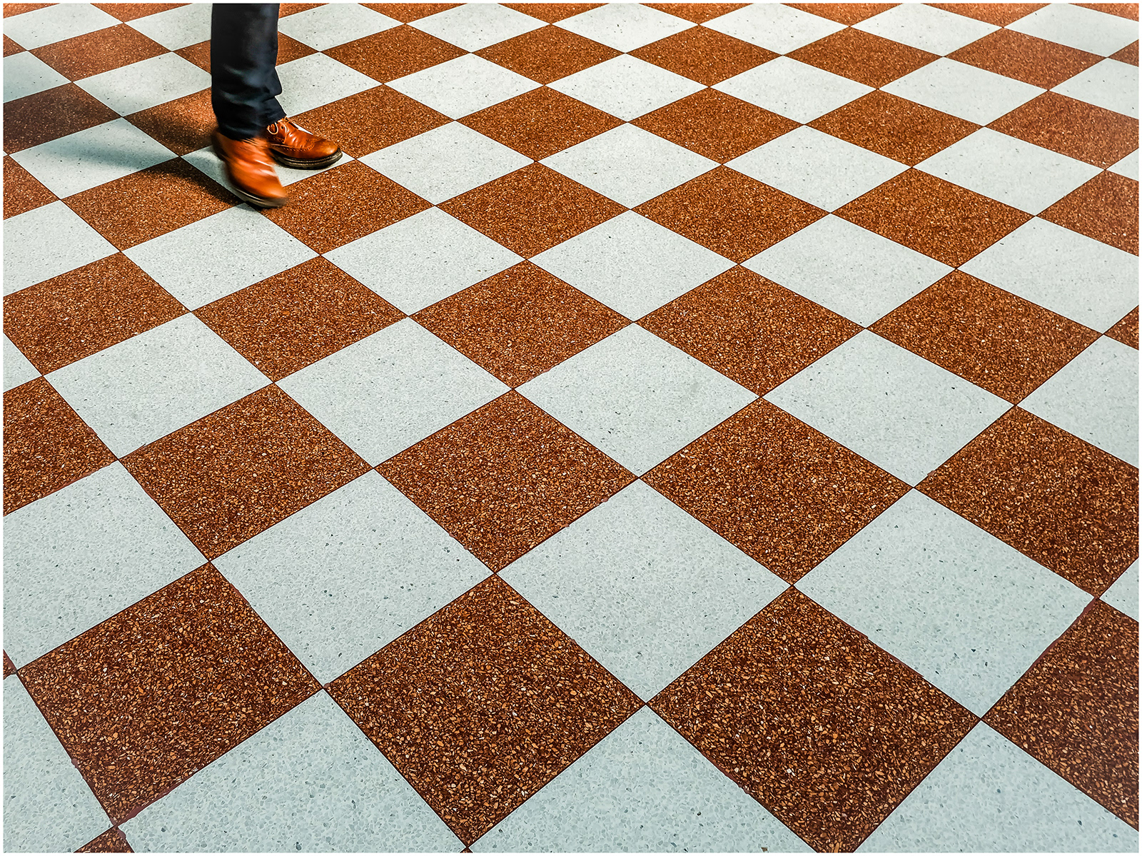 2nd: "Brown shoe shuffle" by Colin Price, 19 points