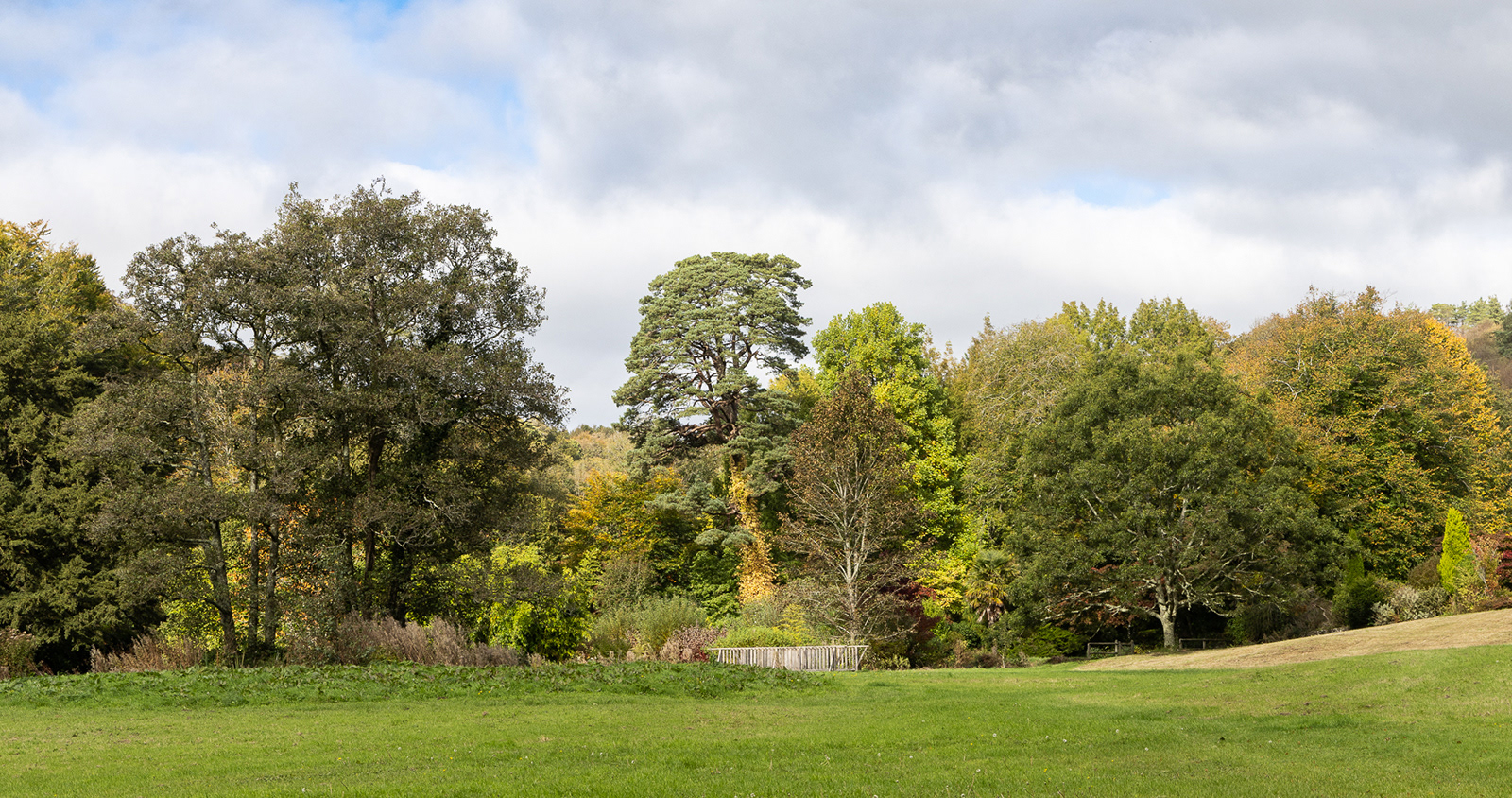 Colby_Pembs-4932 by Morlais Davies