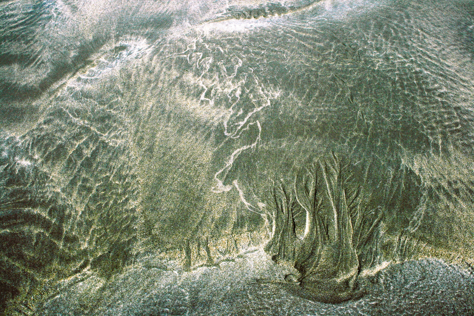 "Lightning Striking Trees - Tidal Patterns on Whitesands Beach" by Brian Ottewell