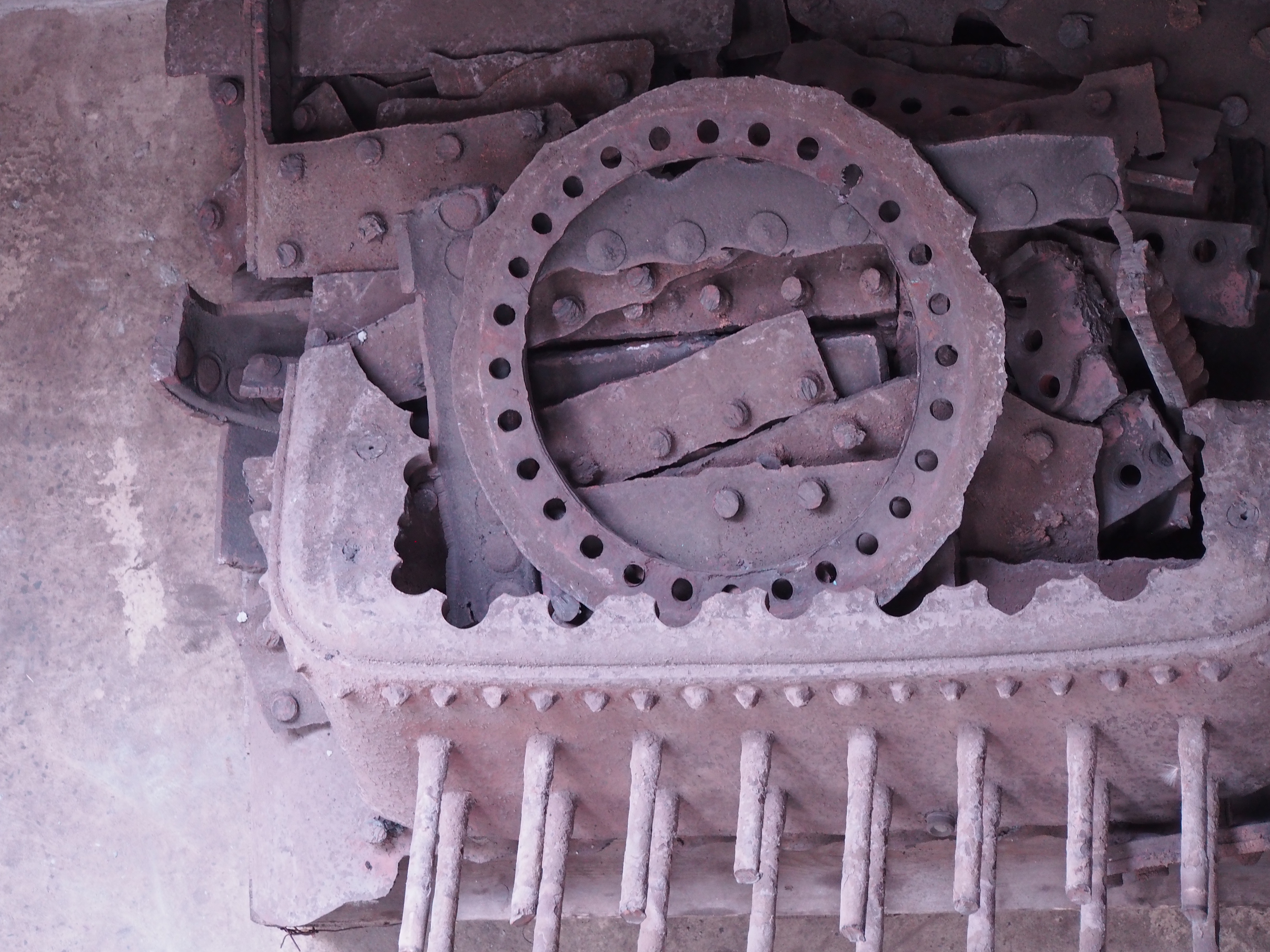 ** Awaiting caption **